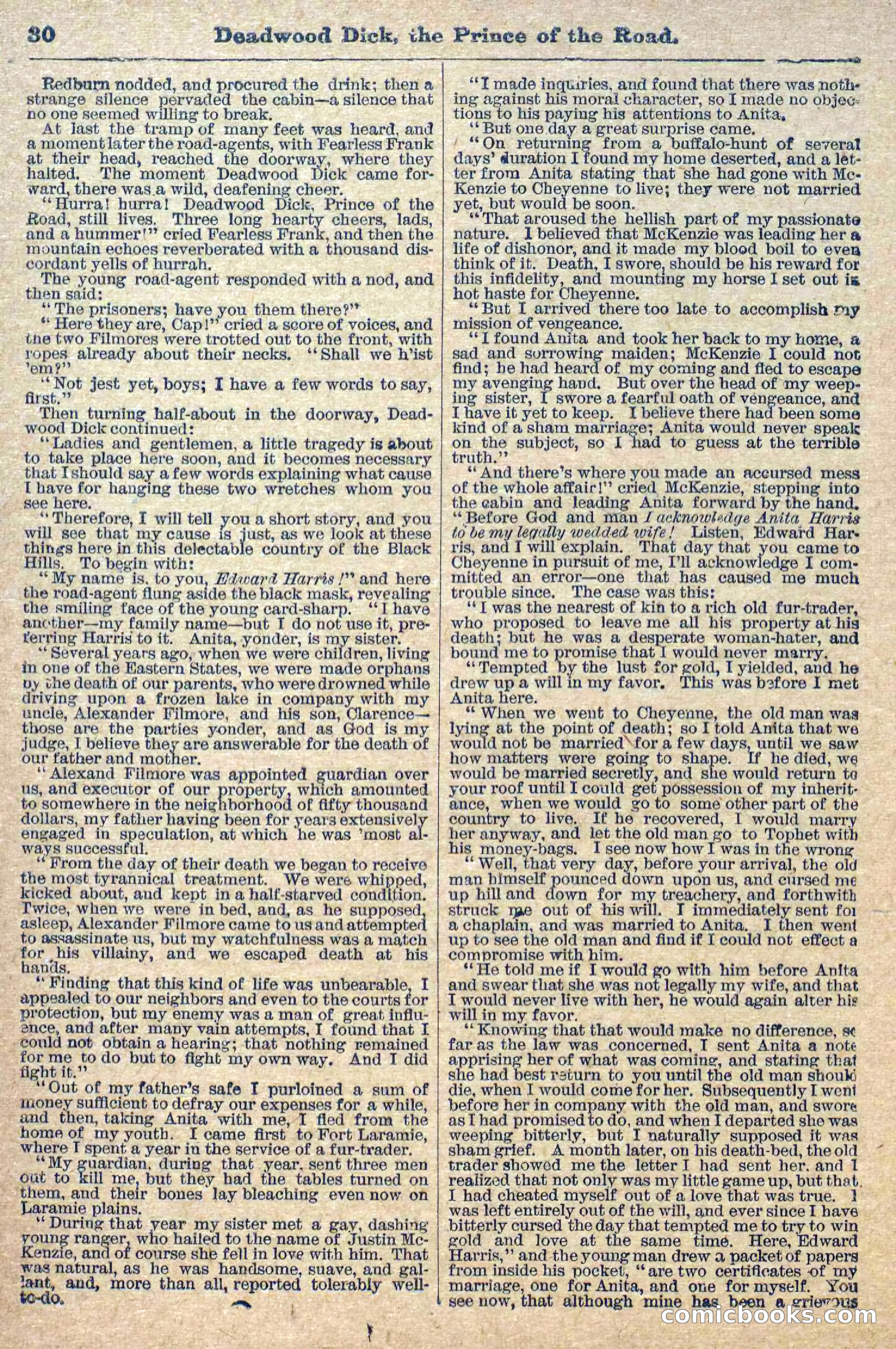 Deadwood Dick Library, Vol. 1, No. 1 — page 32 of 40