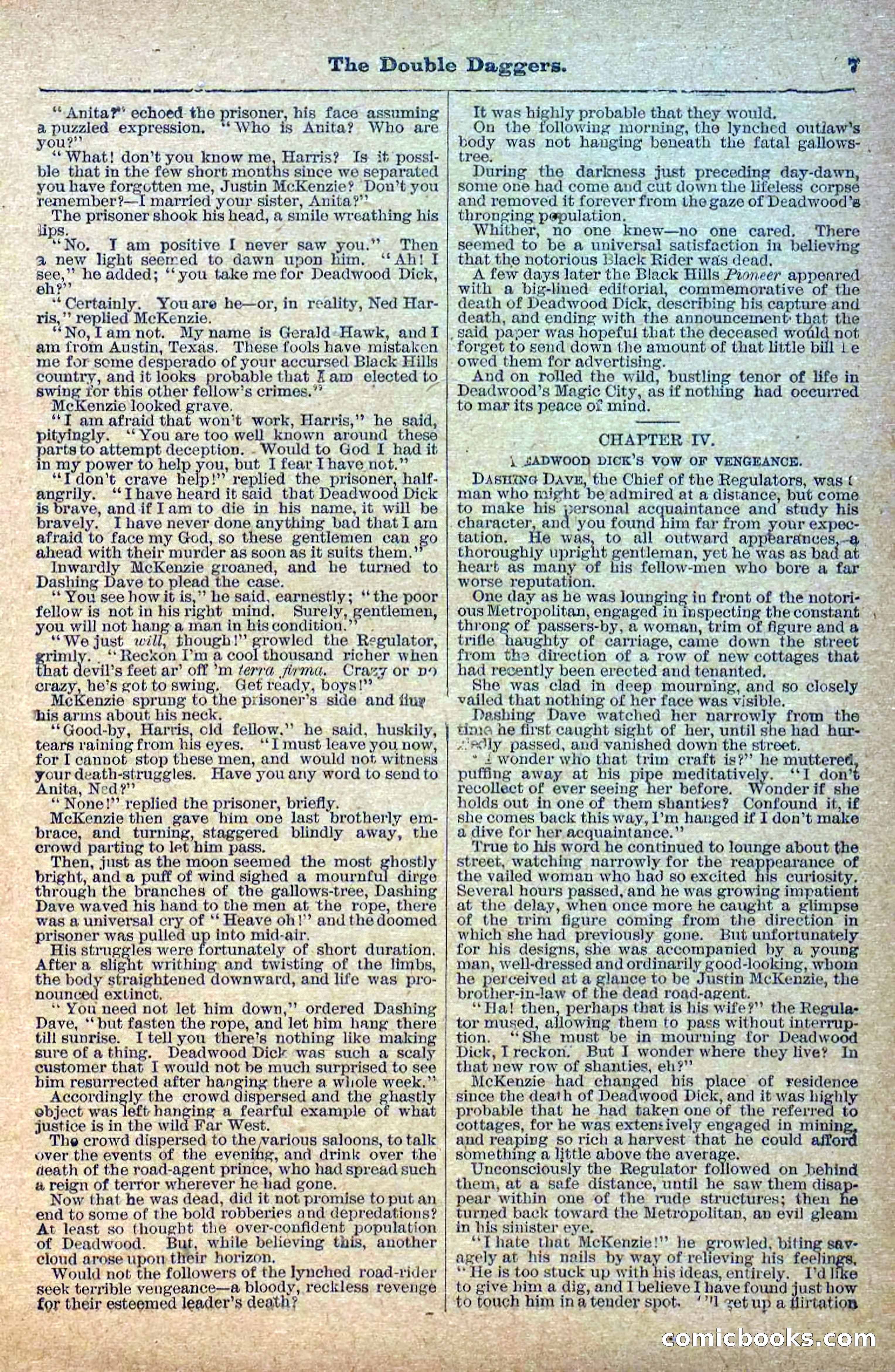 The Deadwood Dick Library, No. 2 — page 9 of 43