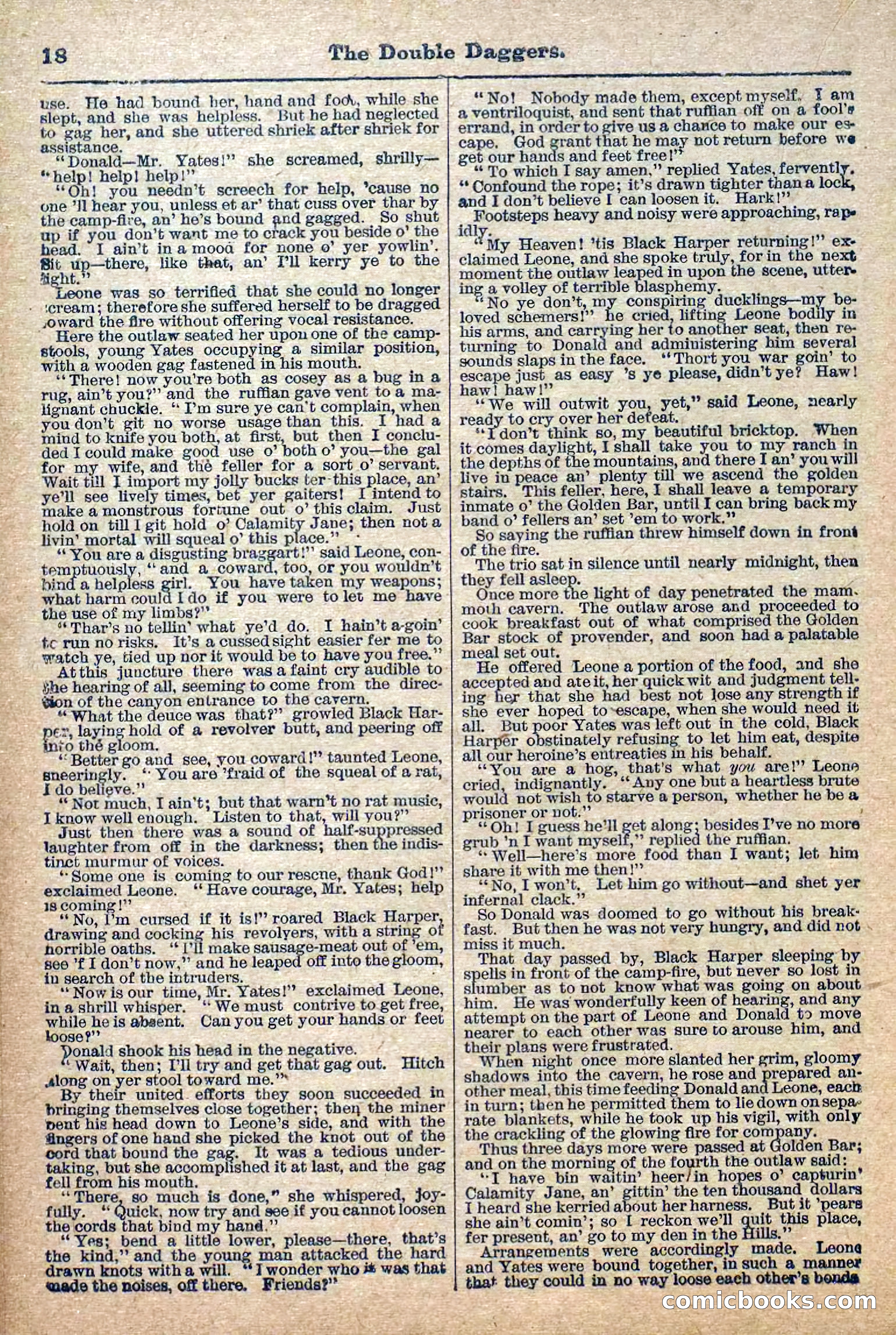 The Deadwood Dick Library, No. 2 — page 20 of 43