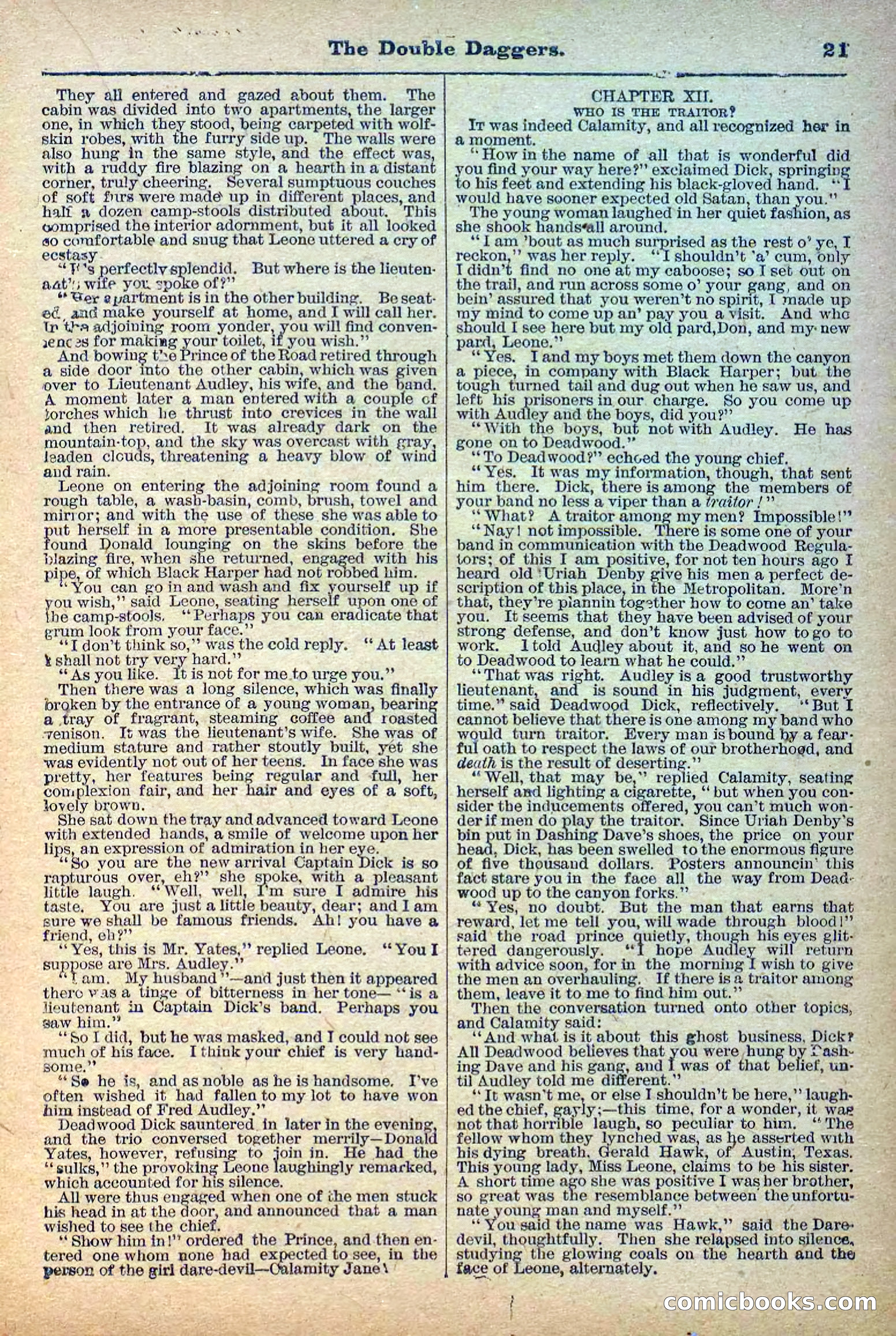 The Deadwood Dick Library, No. 2 — page 23 of 43