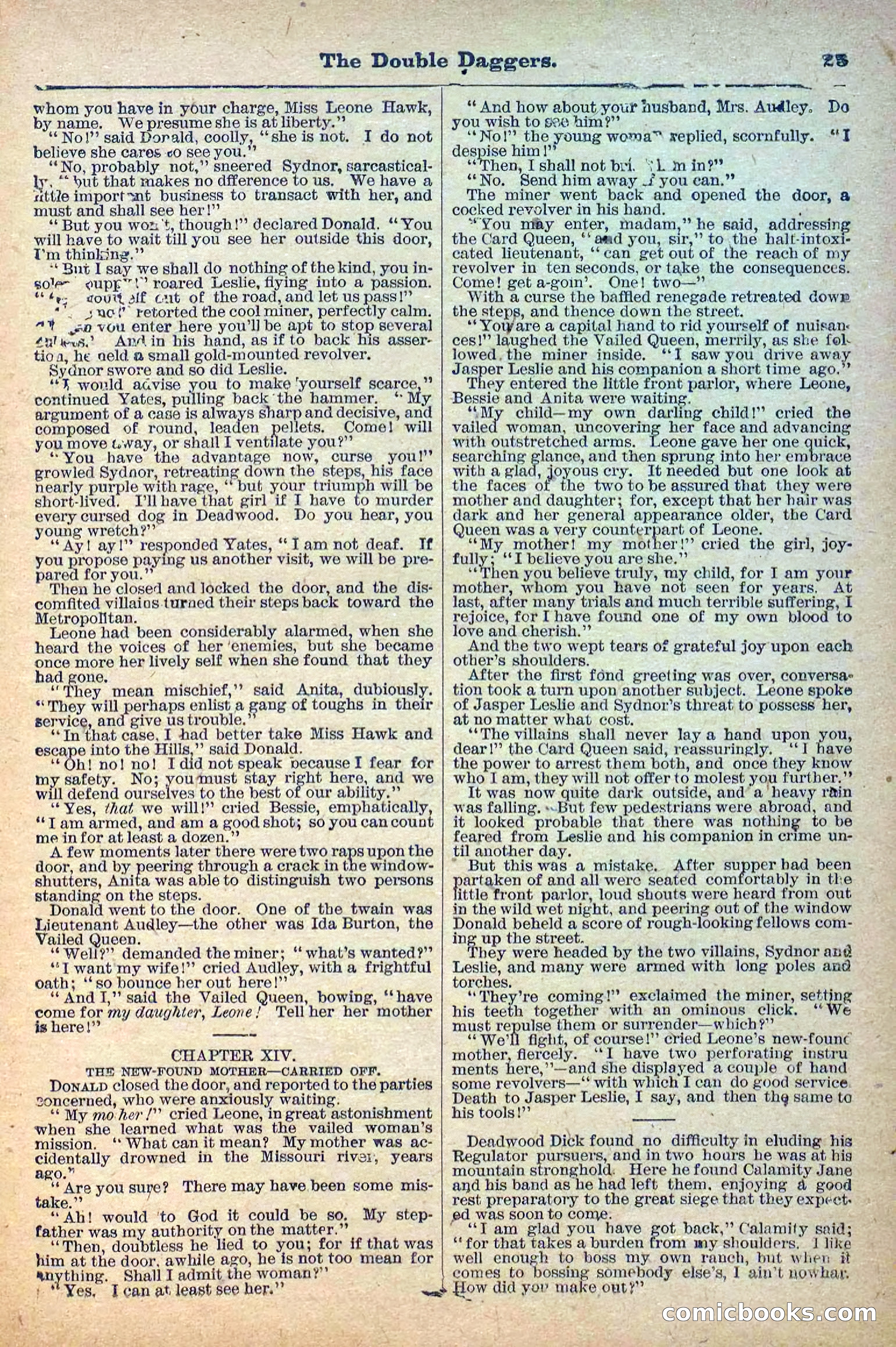 The Deadwood Dick Library, No. 2 — page 27 of 43