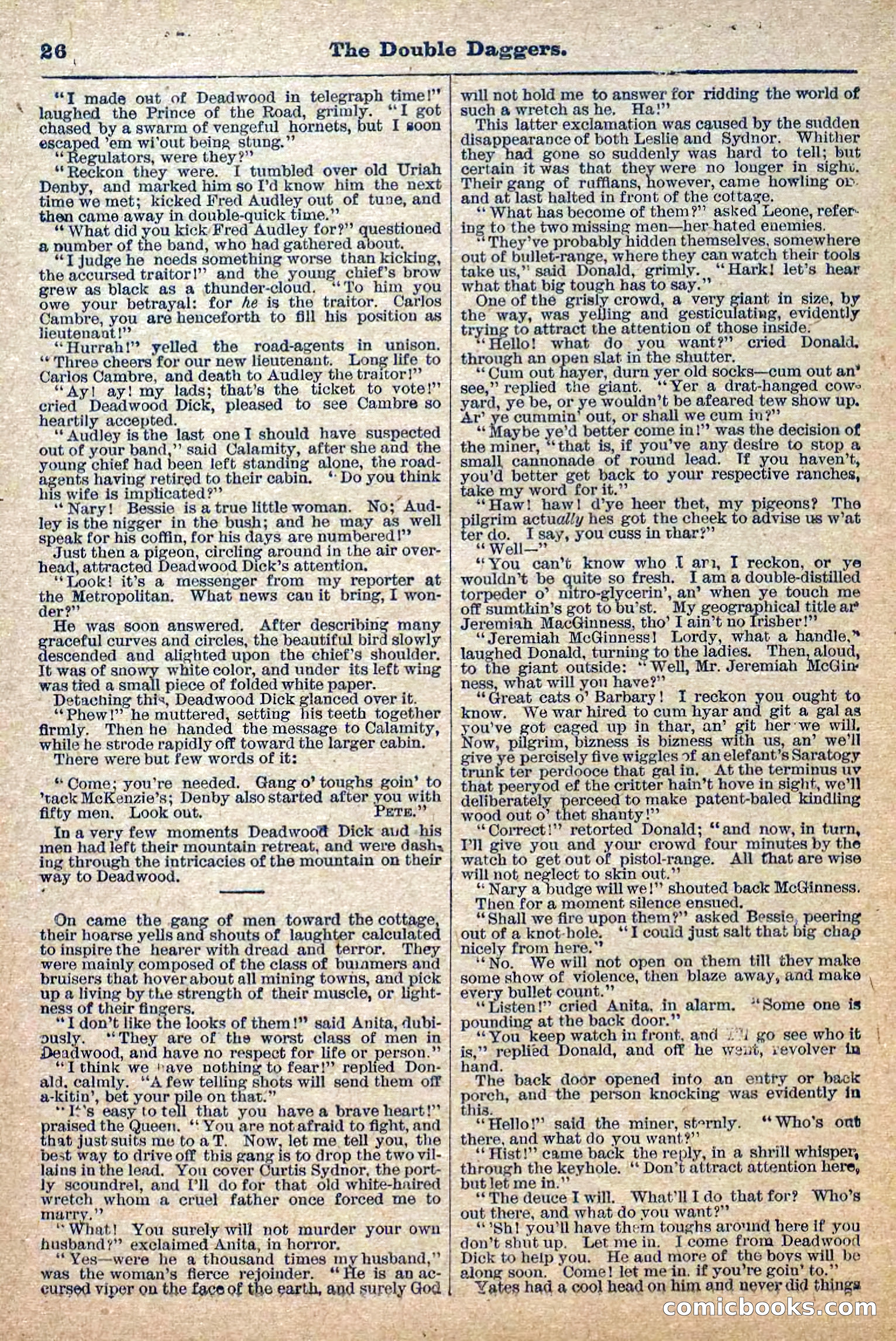 The Deadwood Dick Library, No. 2 — page 28 of 43