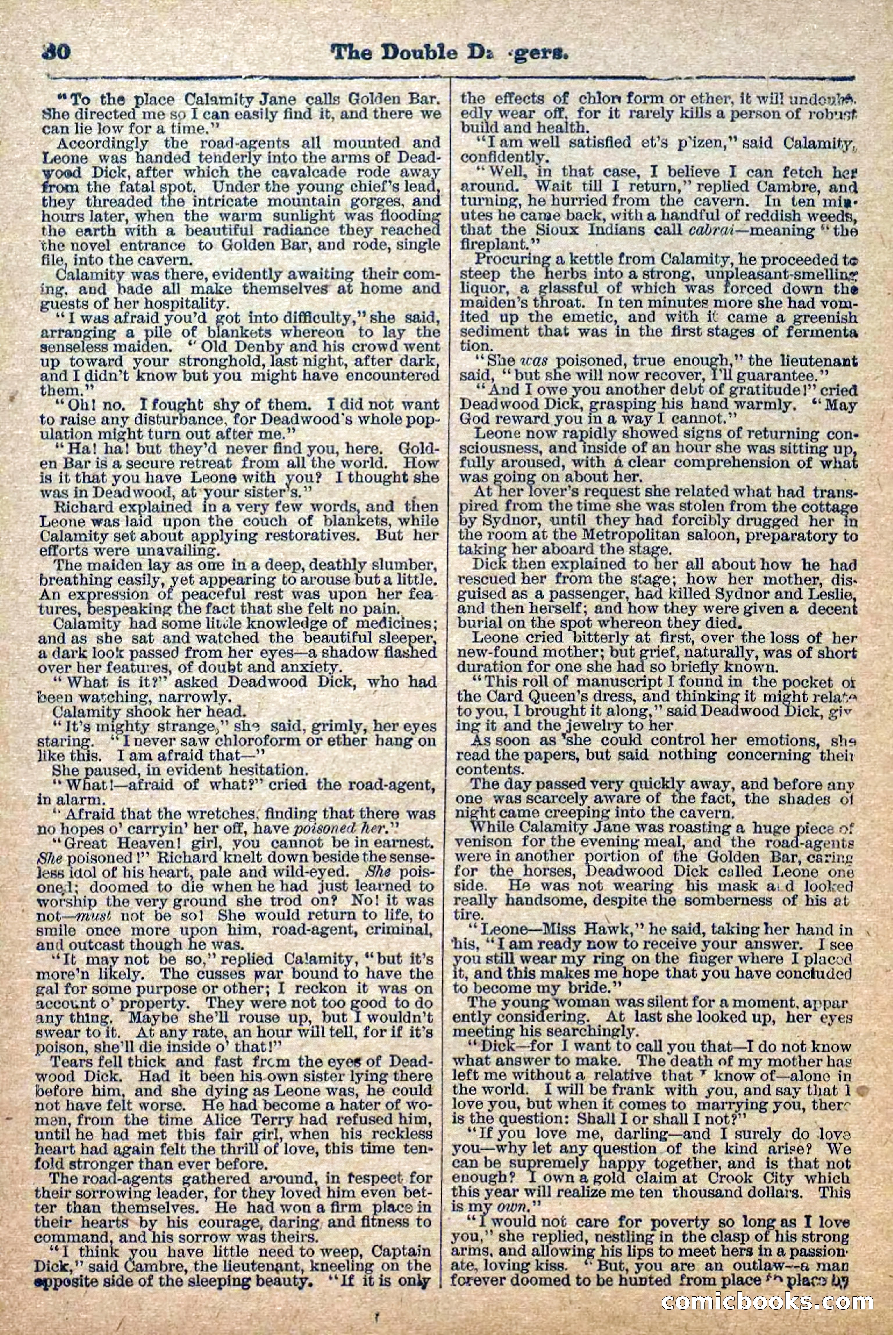 The Deadwood Dick Library, No. 2 — page 32 of 43