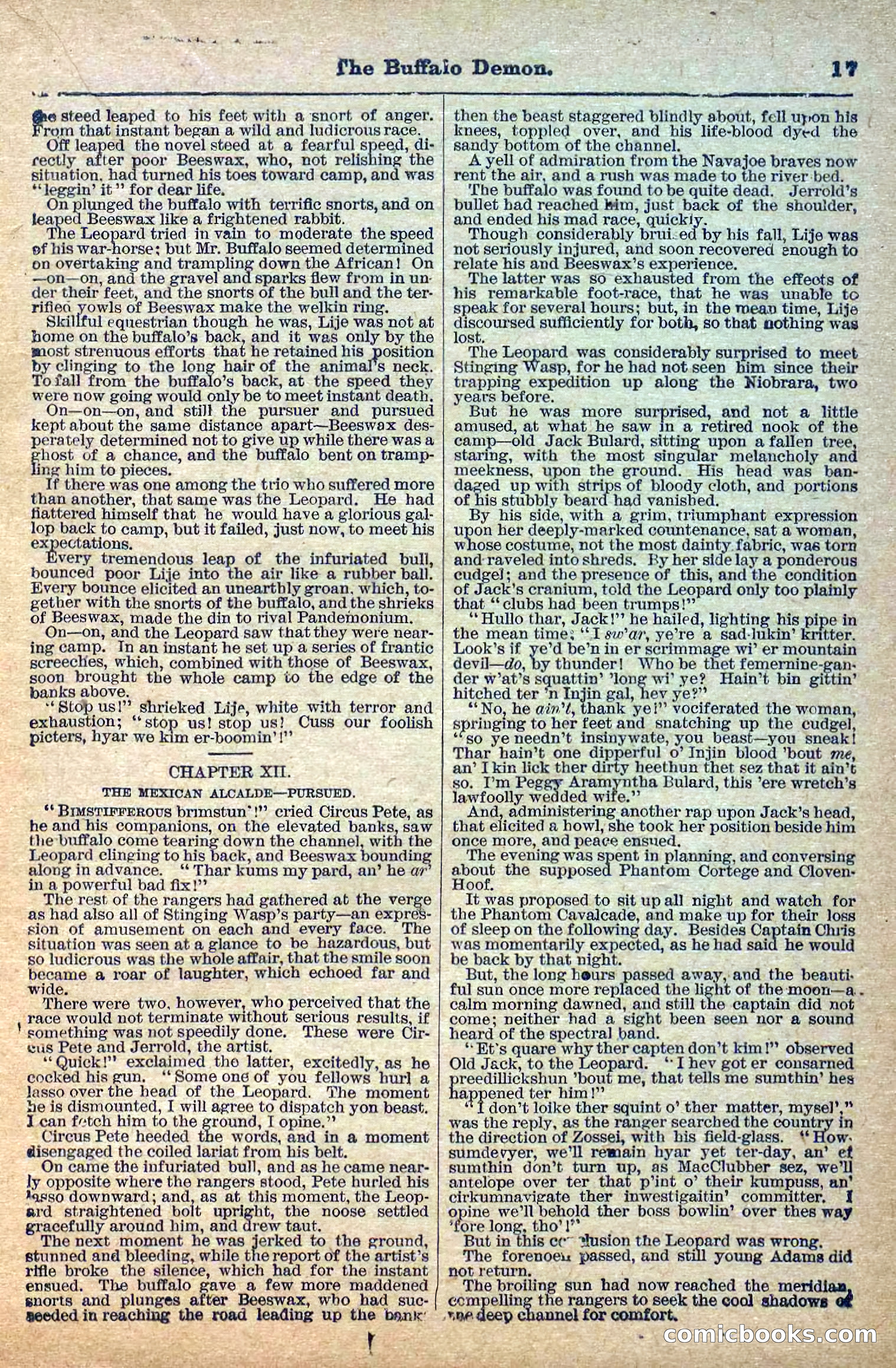 The Deadwood Dick Library, No. 3 — page 19 of 40