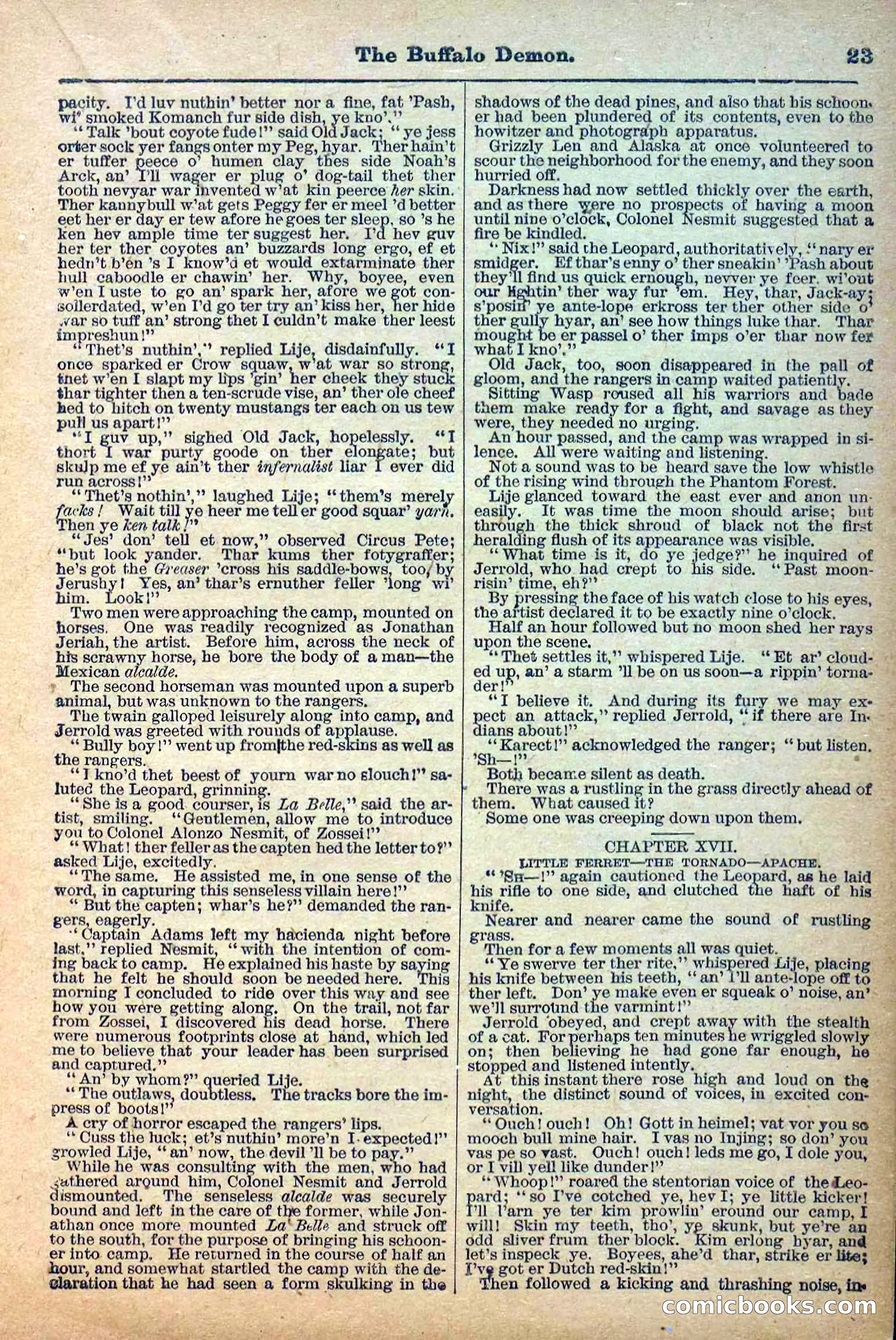 The Deadwood Dick Library, No. 3 — page 25 of 40