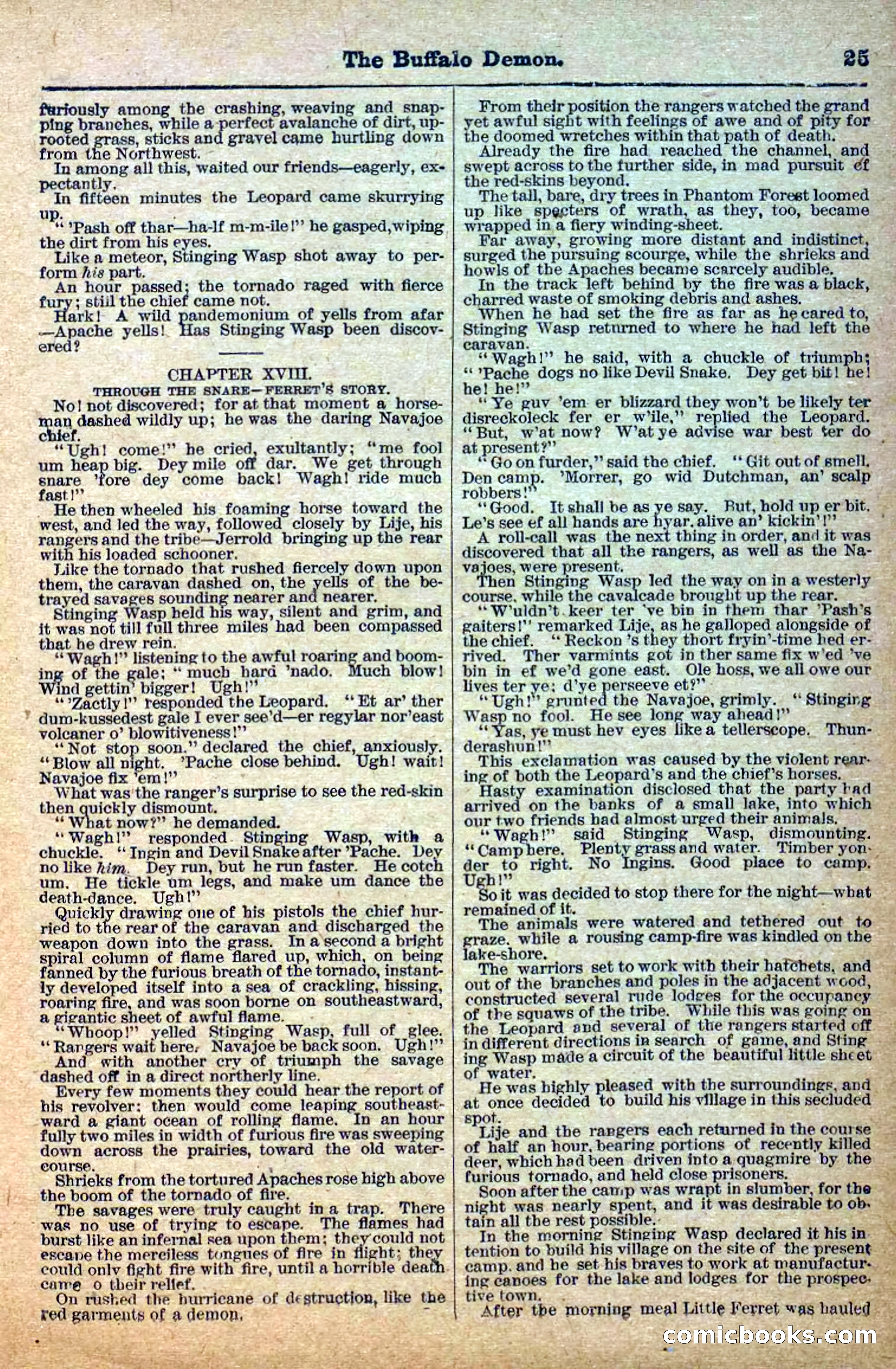 The Deadwood Dick Library, No. 3 — page 27 of 40