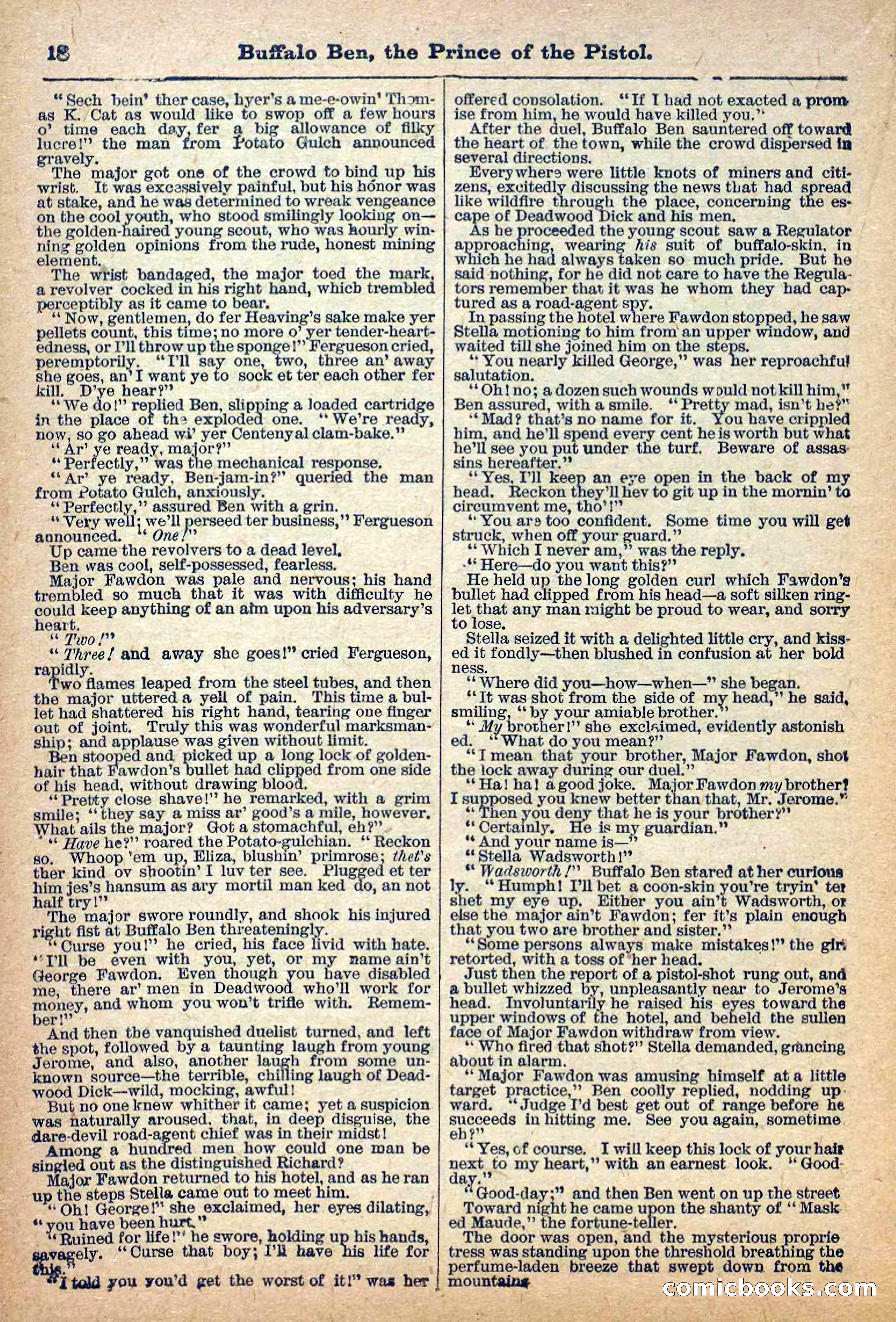Deadwood Dick Library, No. 4 — page 20 of 41