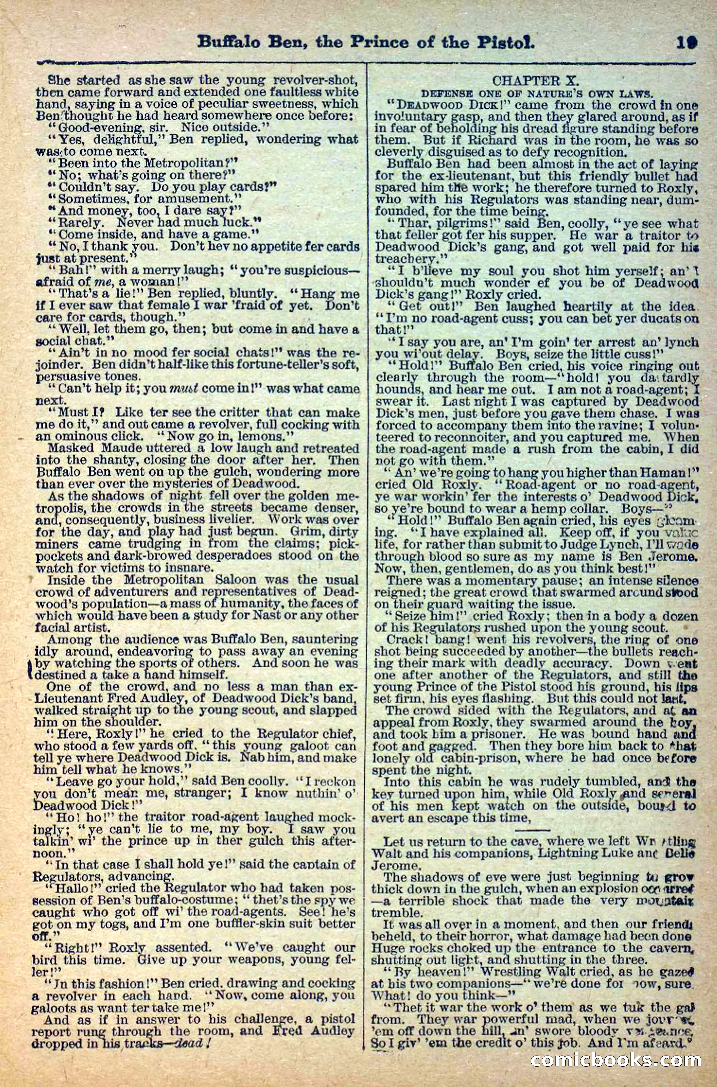 Deadwood Dick Library, No. 4 — page 21 of 41