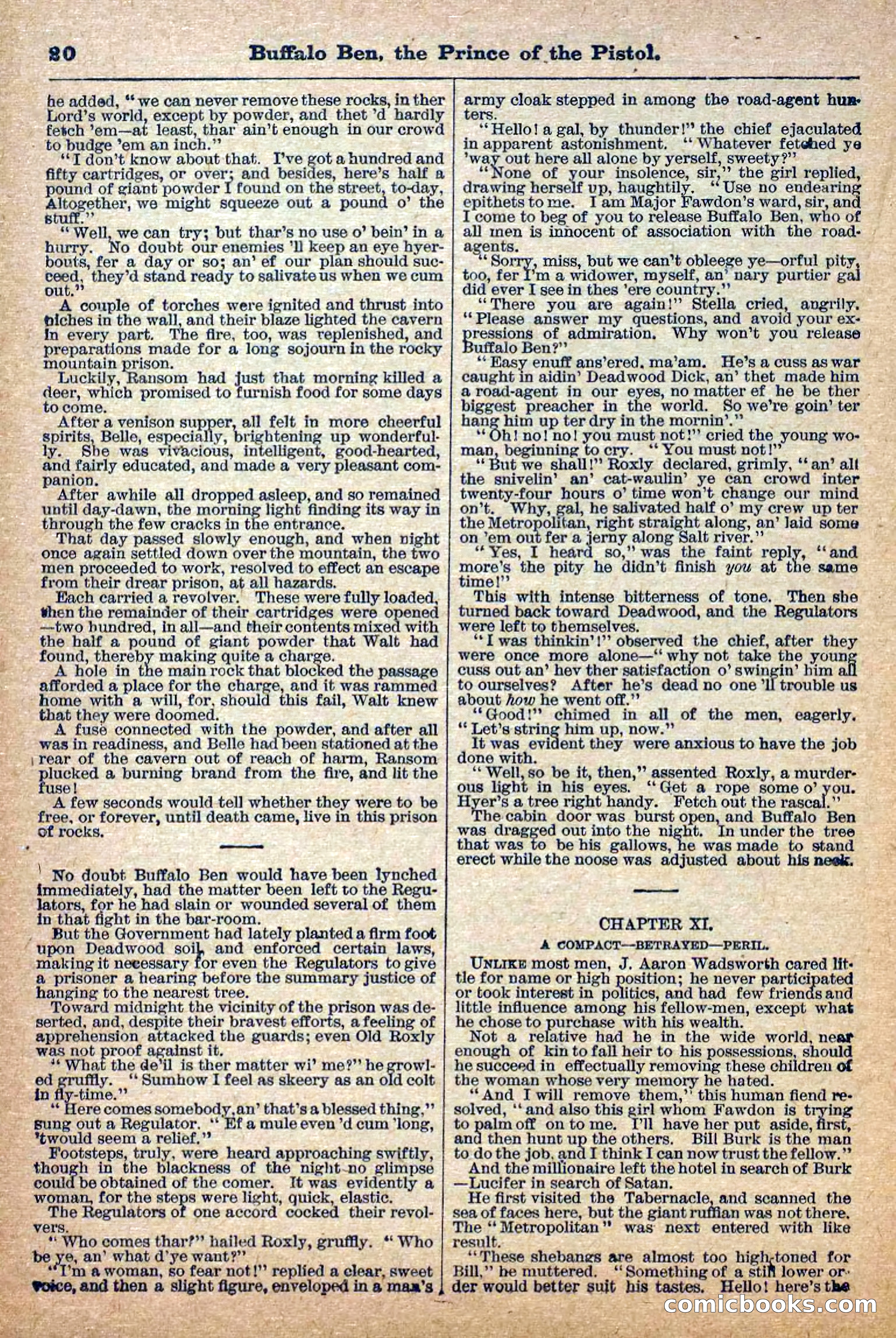Deadwood Dick Library, No. 4 — page 22 of 41