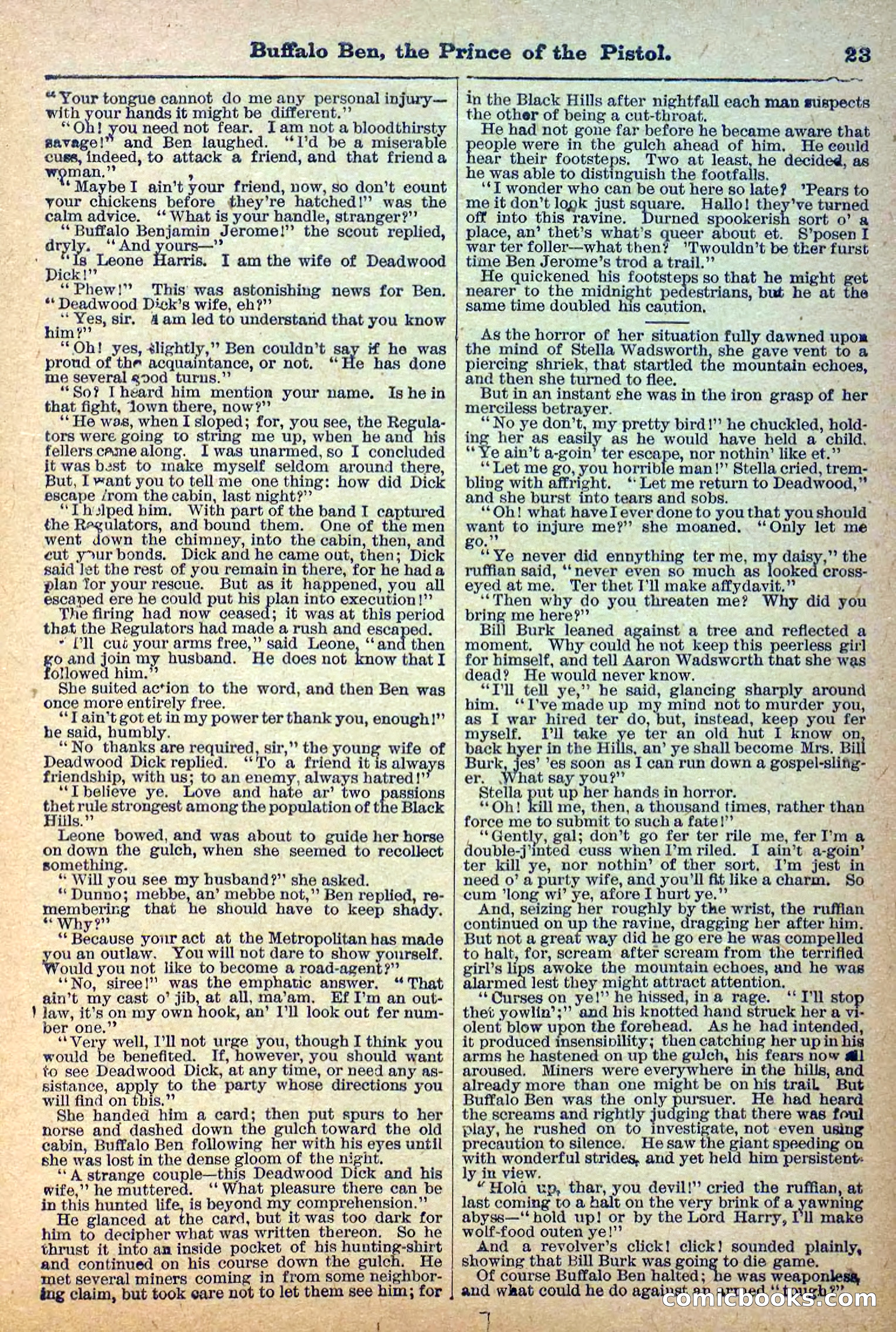 Deadwood Dick Library, No. 4 — page 25 of 41
