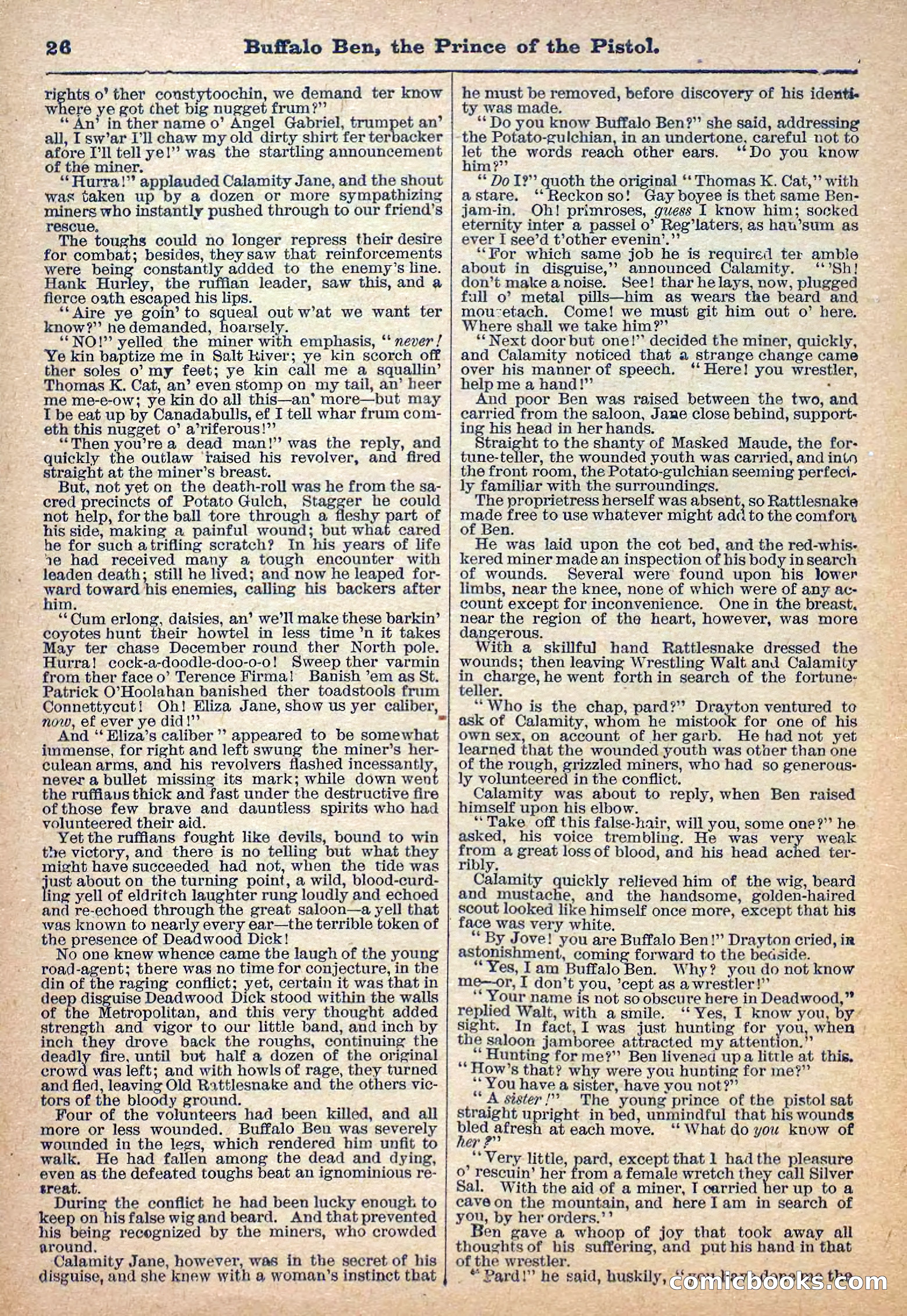 Deadwood Dick Library, No. 4 — page 28 of 41
