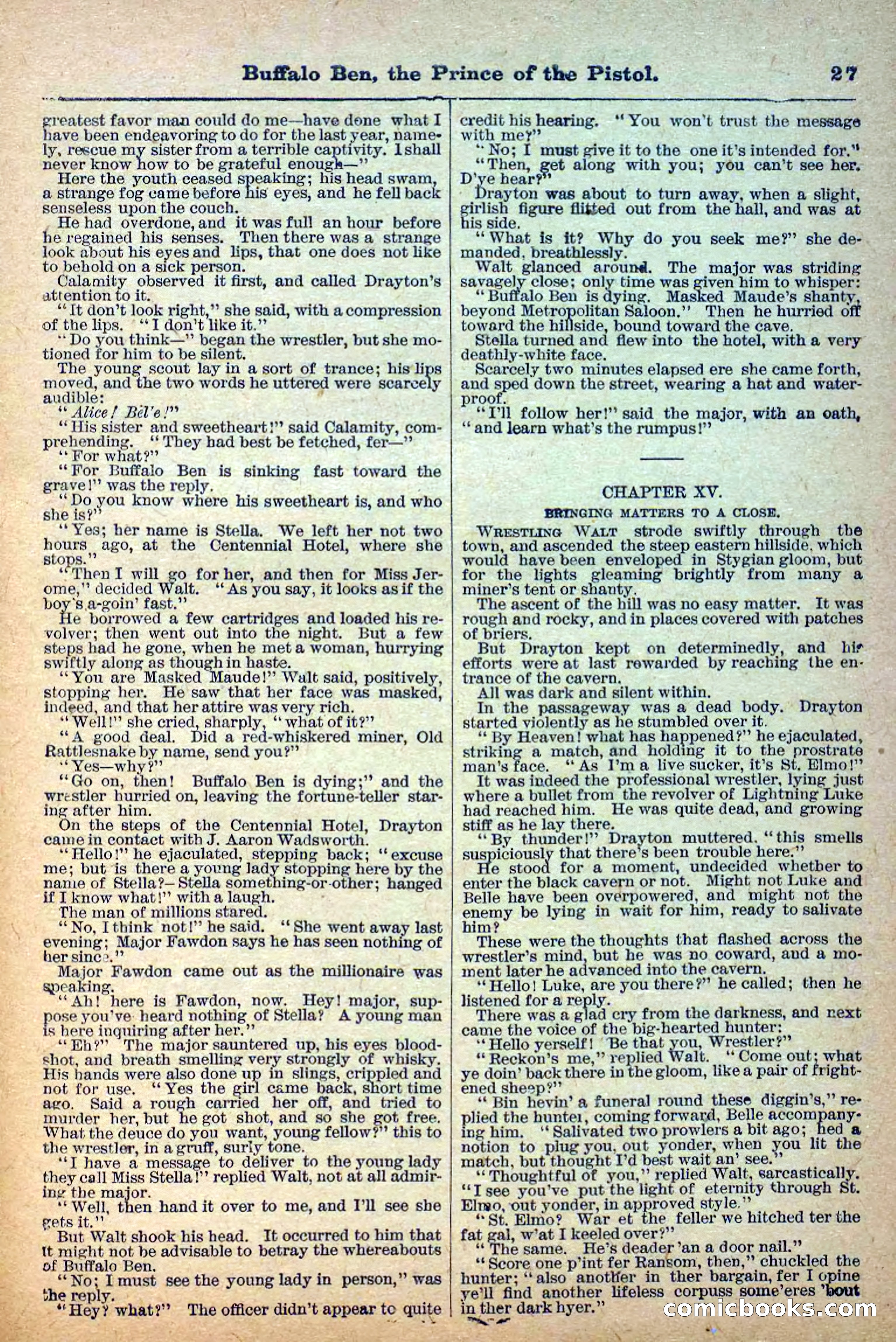Deadwood Dick Library, No. 4 — page 29 of 41