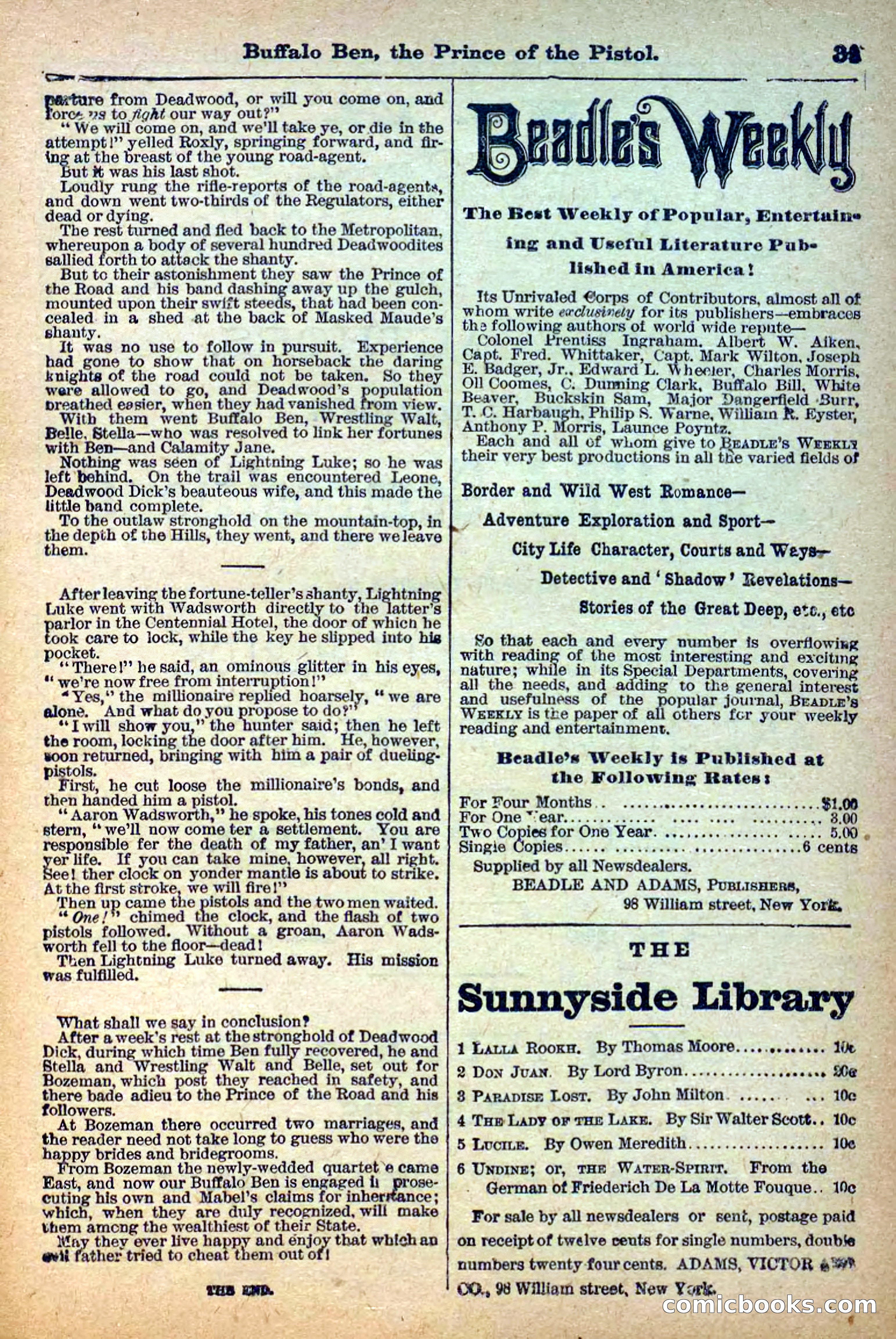 Deadwood Dick Library, No. 4 — page 33 of 41
