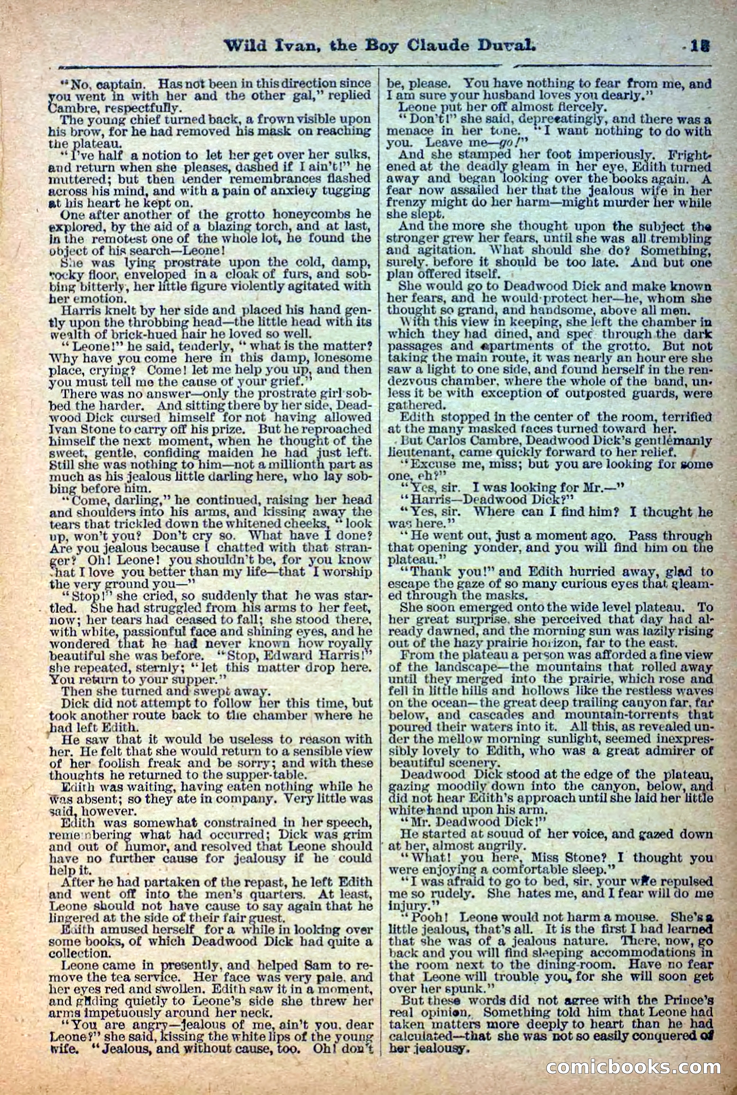Deadwood Dick Library, Vol. 1, No. 5 — page 17 of 42