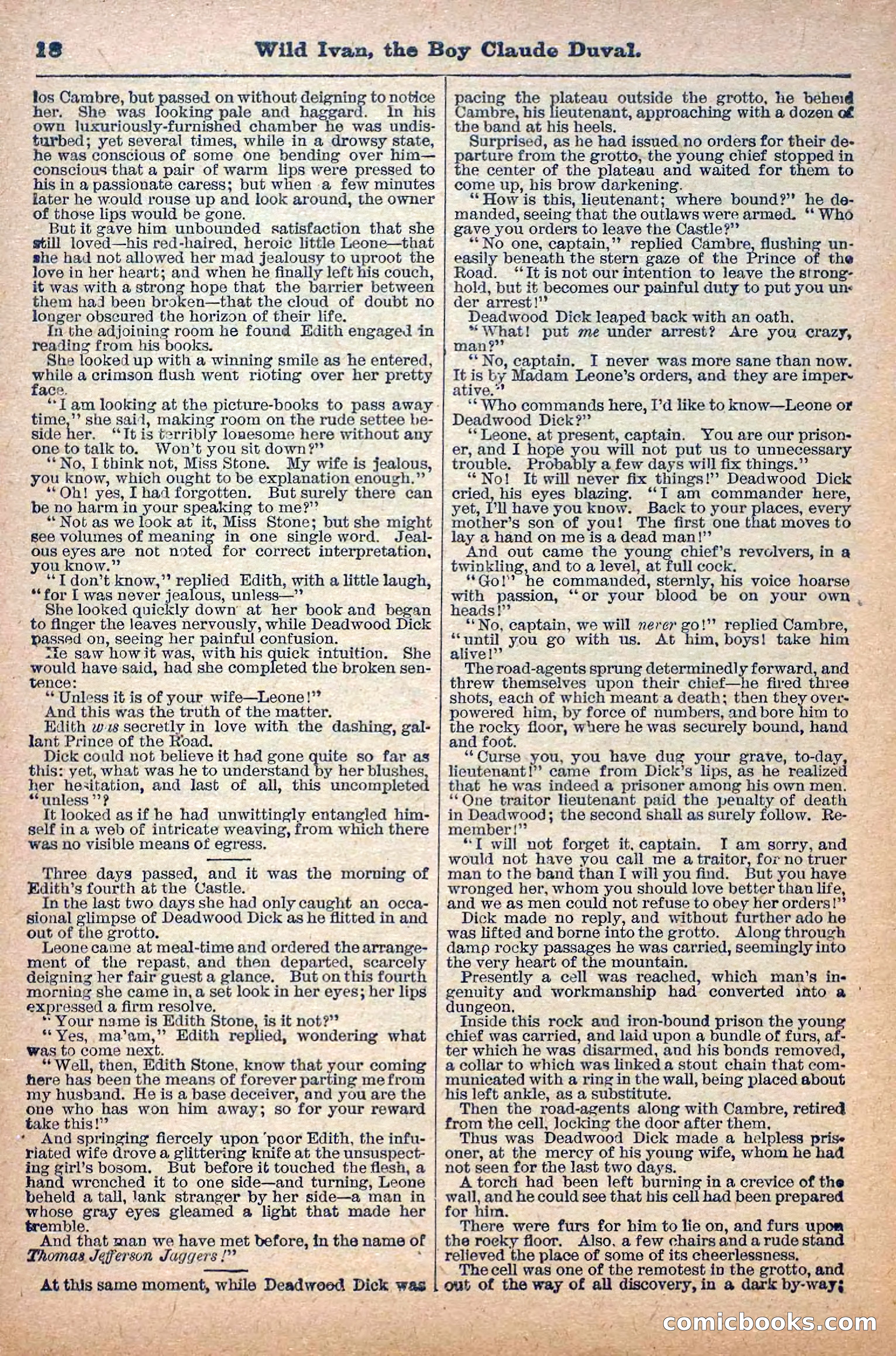 Deadwood Dick Library, Vol. 1, No. 5 — page 20 of 42