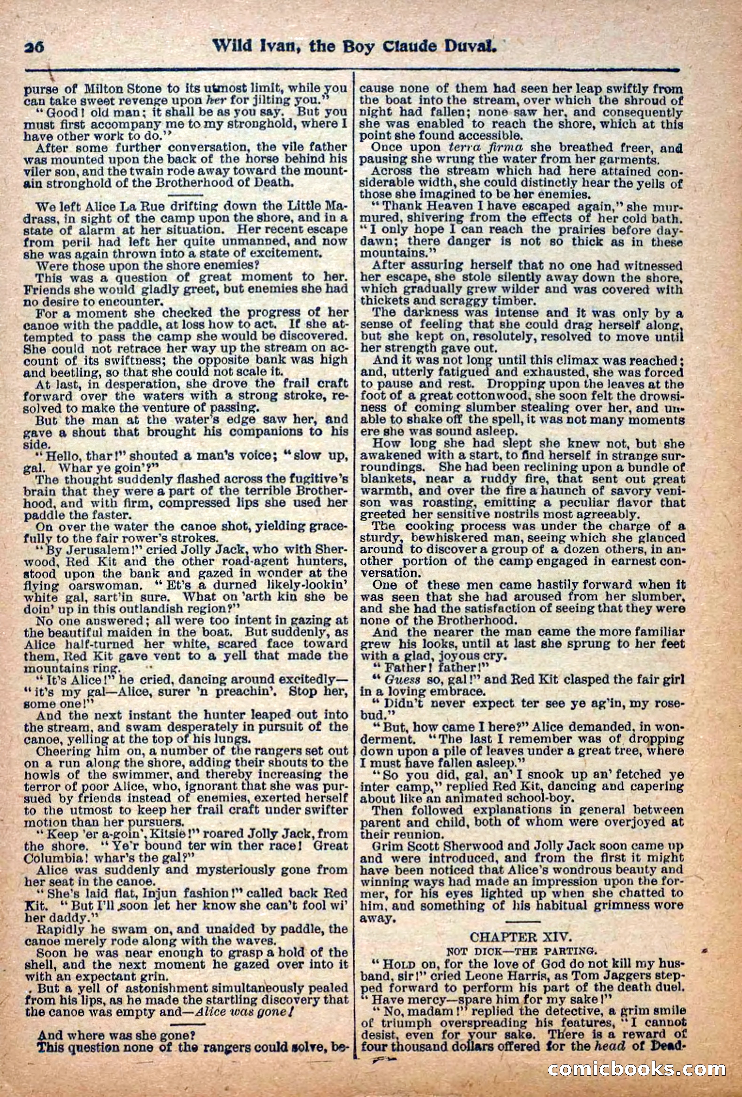 Deadwood Dick Library, Vol. 1, No. 5 — page 28 of 42