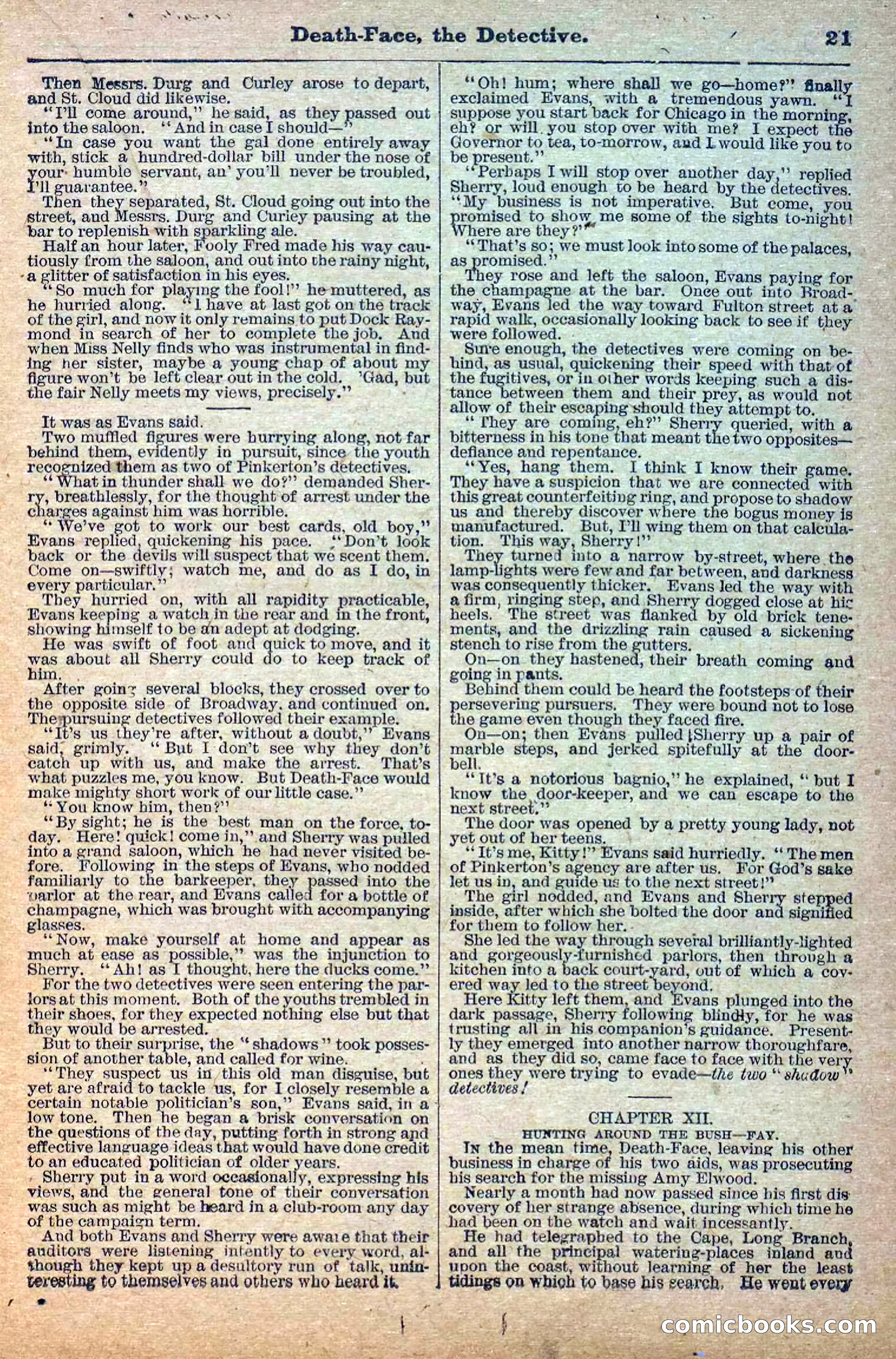 Deadwood Dick Library, No. 6 — page 23 of 42