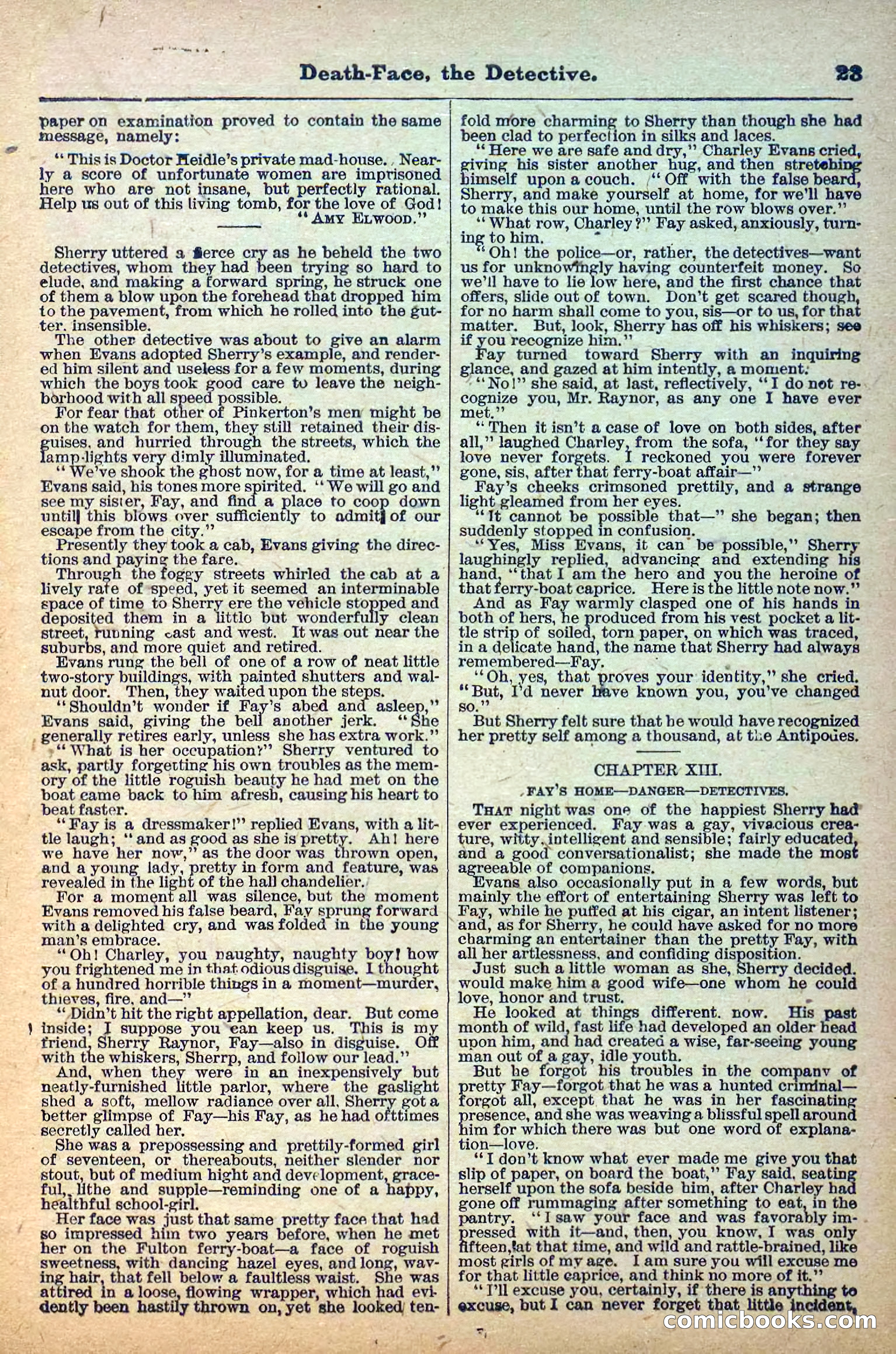 Deadwood Dick Library, No. 6 — page 25 of 42