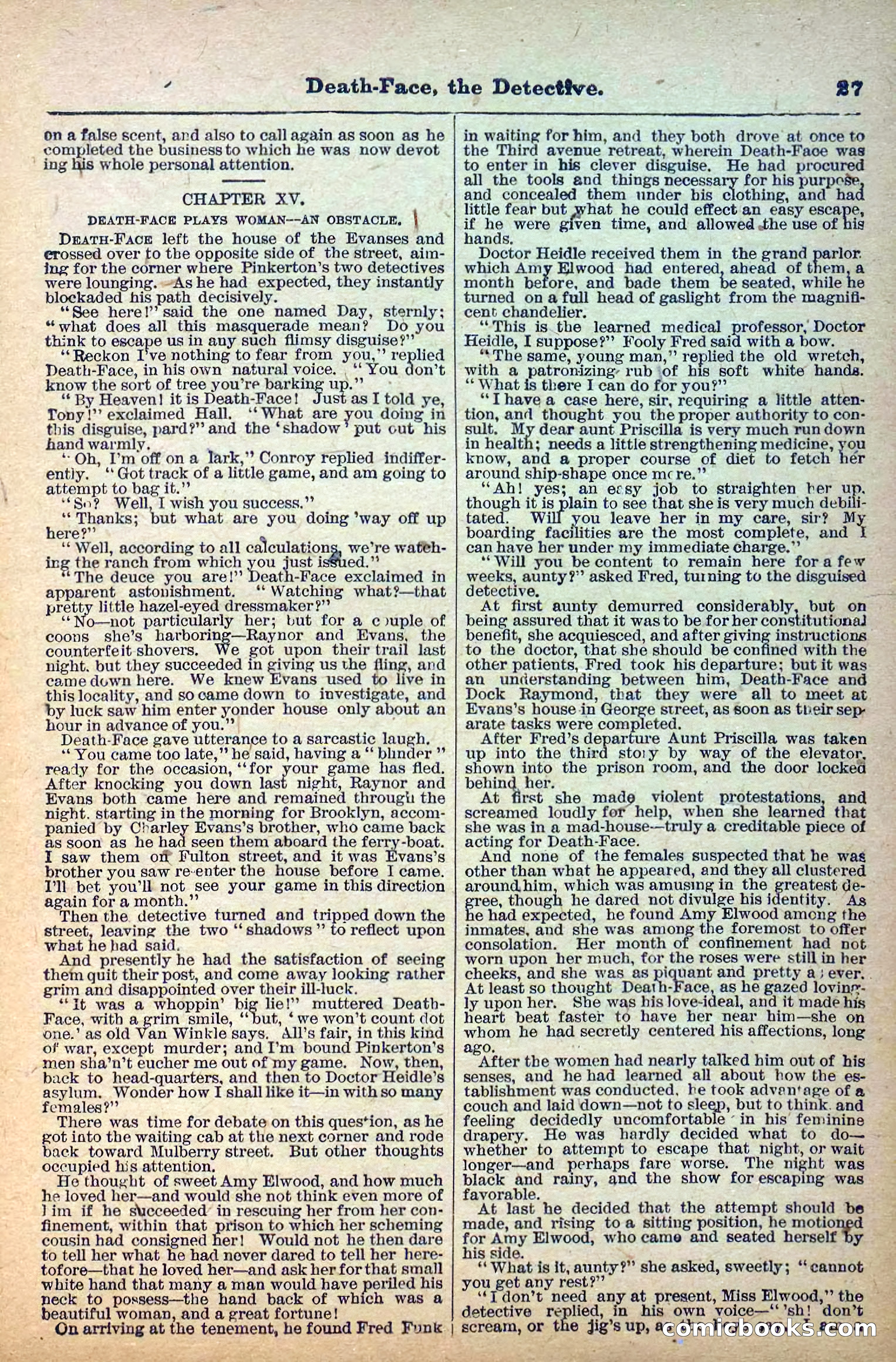 Deadwood Dick Library, No. 6 — page 29 of 42