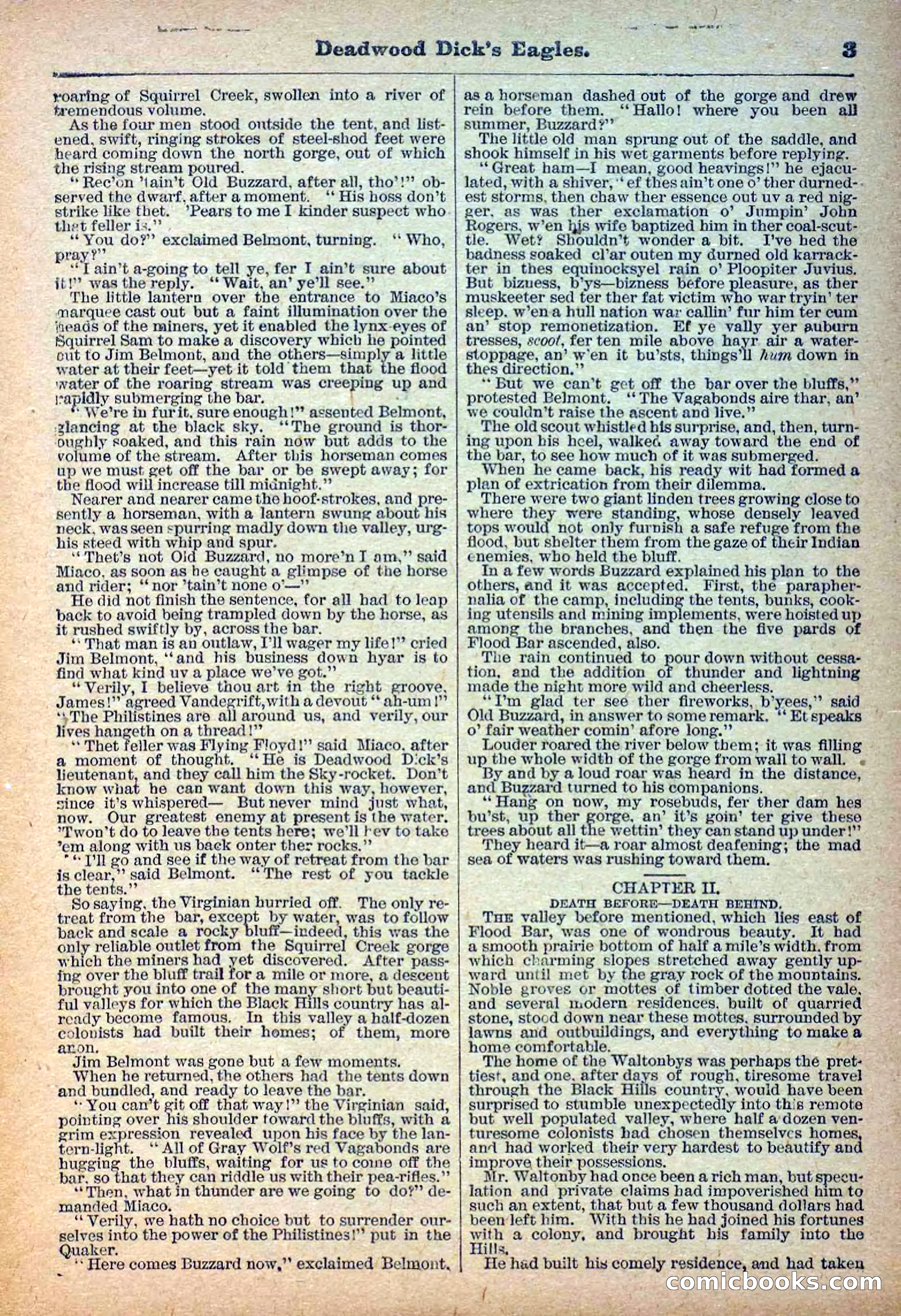 Deadwood Dick Library, Vol. 1, No. 12 — page 5 of 38