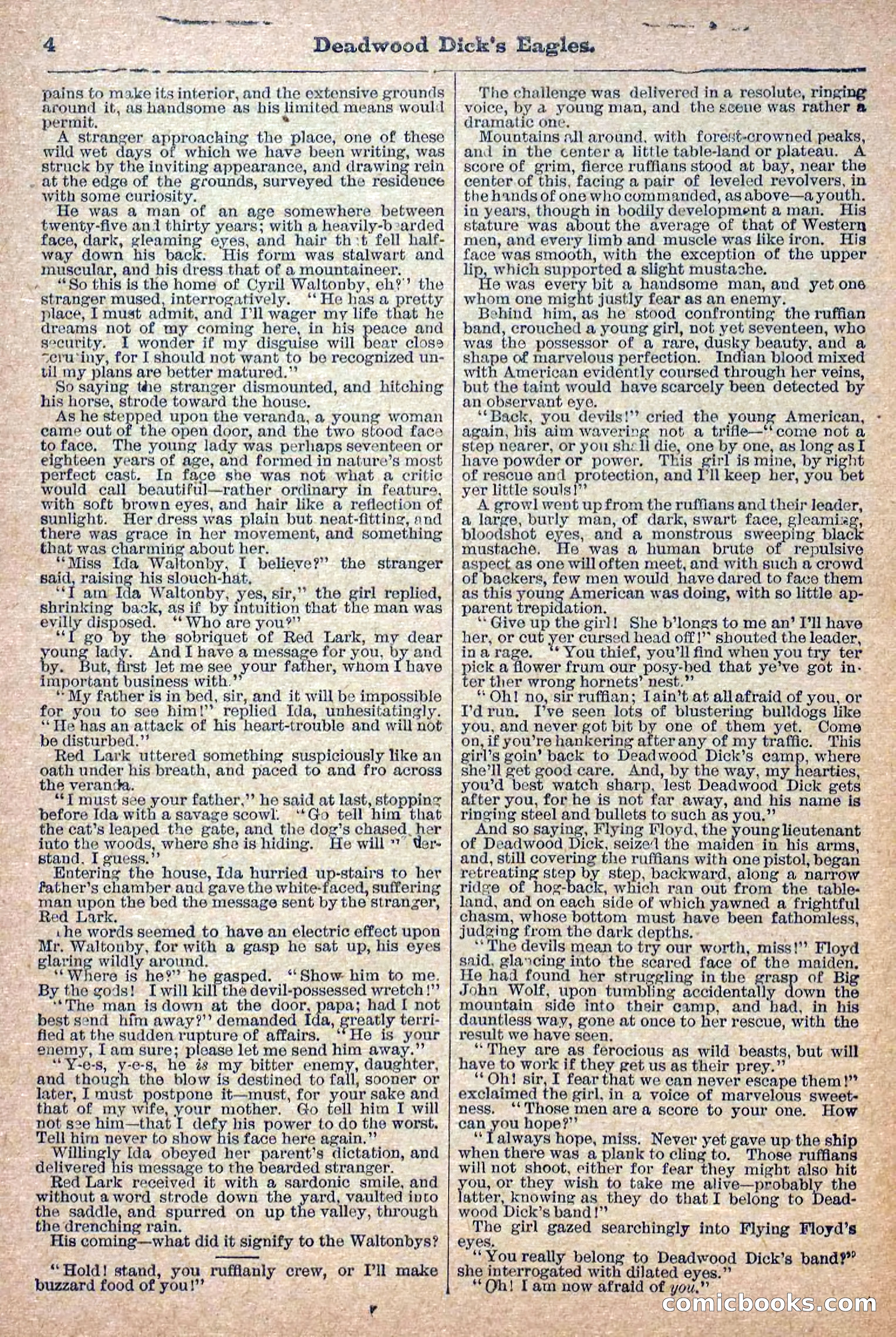 Deadwood Dick Library, Vol. 1, No. 12 — page 6 of 38