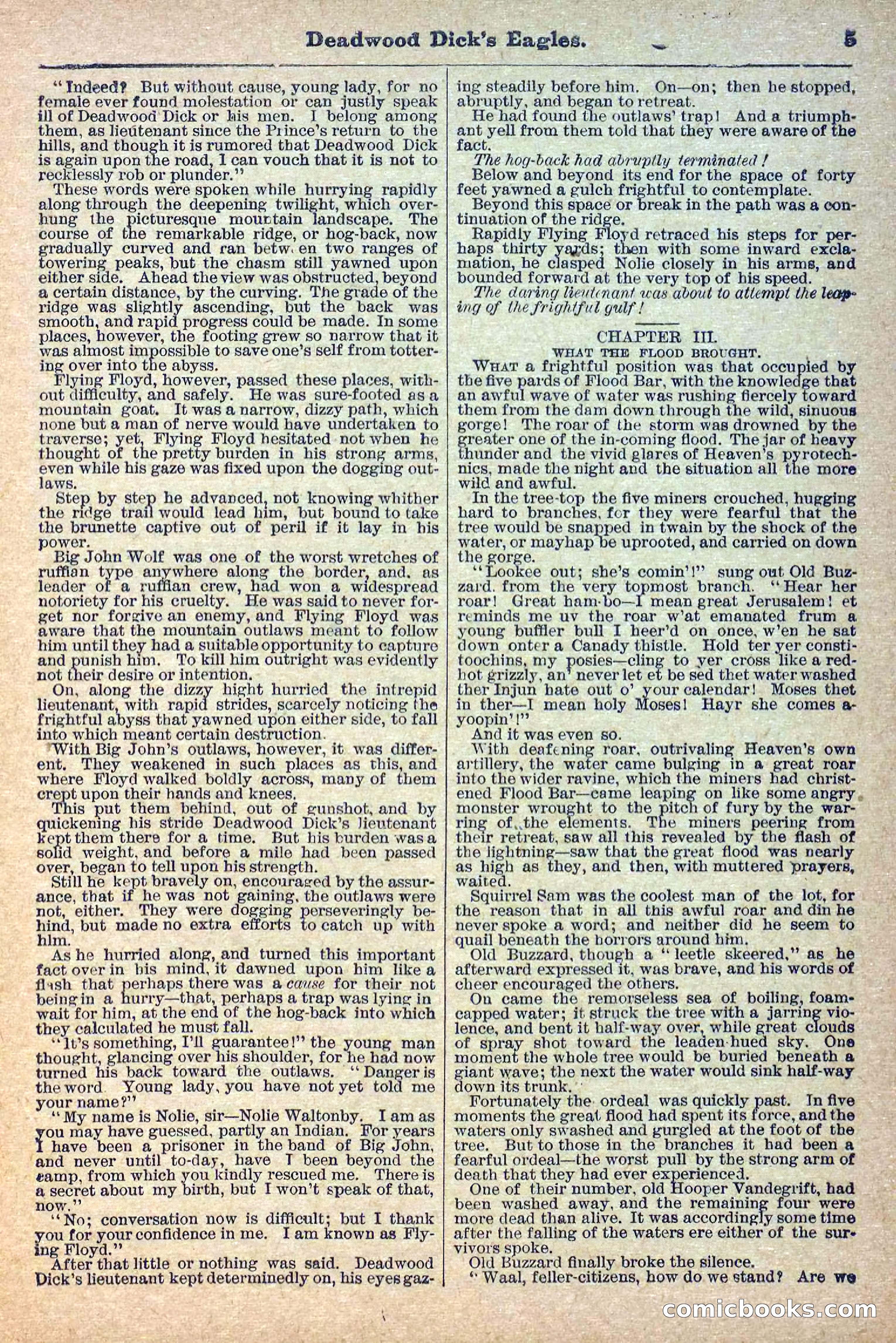 Deadwood Dick Library, Vol. 1, No. 12 — page 7 of 38