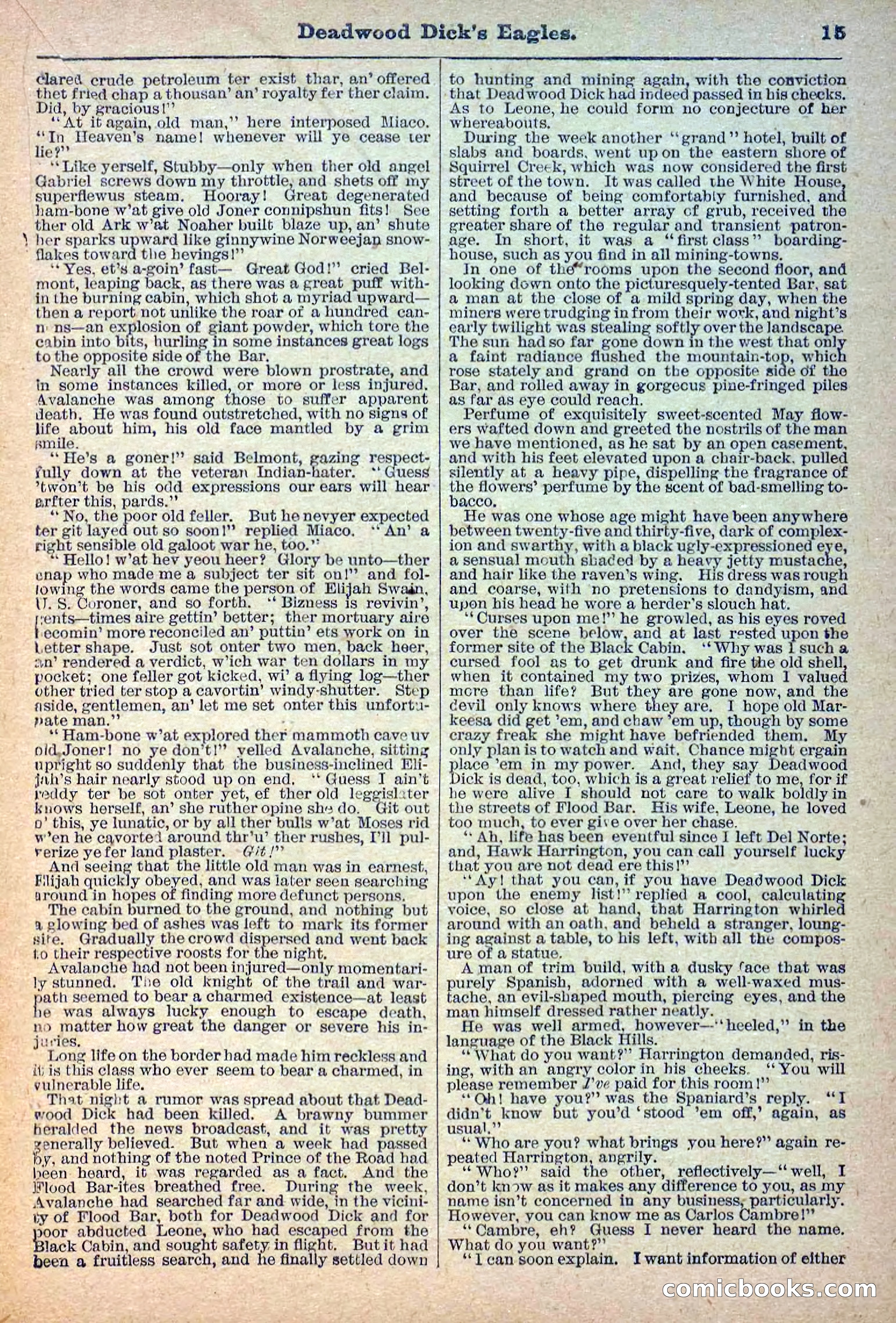 Deadwood Dick Library, Vol. 1, No. 12 — page 17 of 38