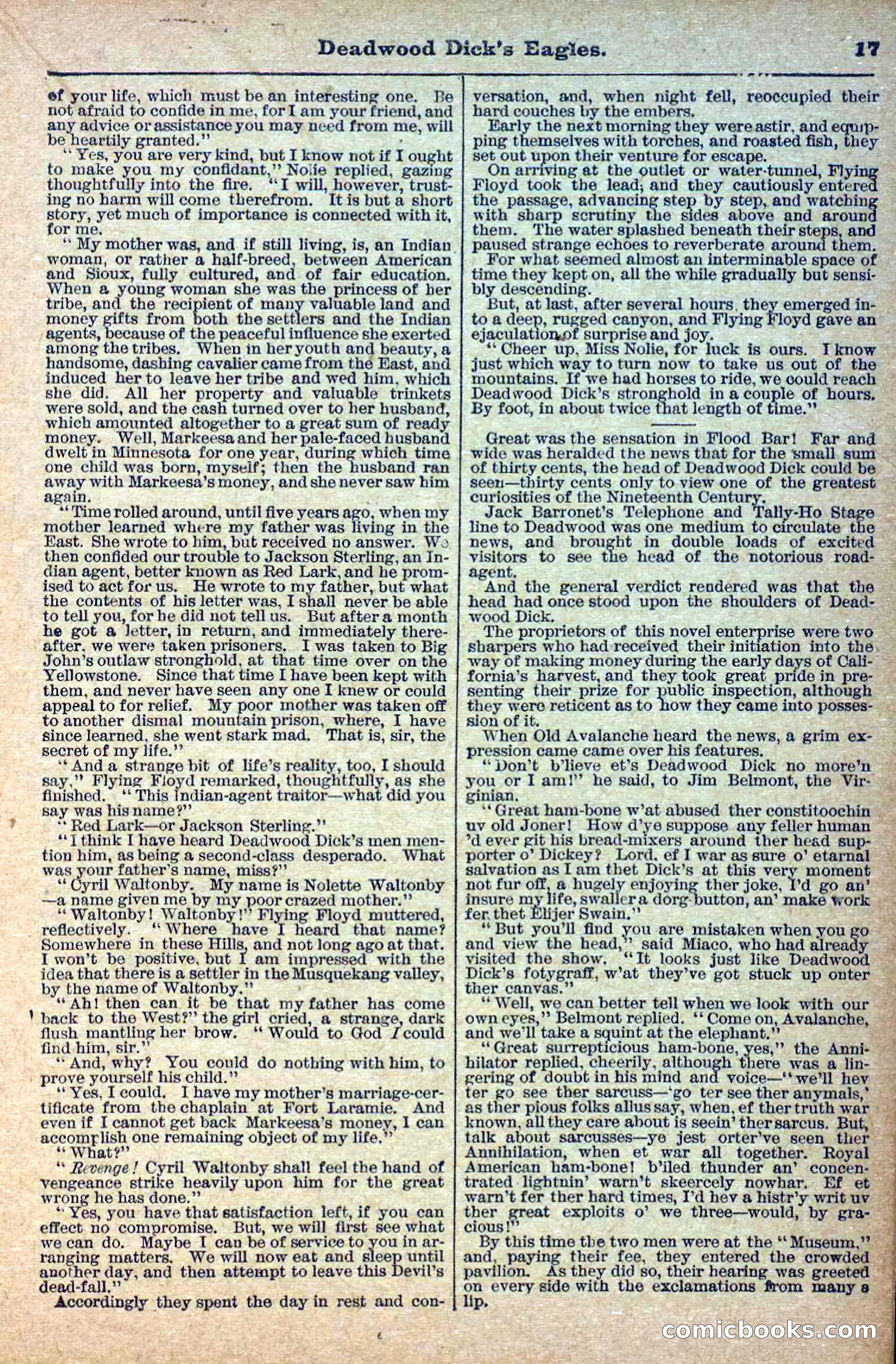 Deadwood Dick Library, Vol. 1, No. 12 — page 19 of 38