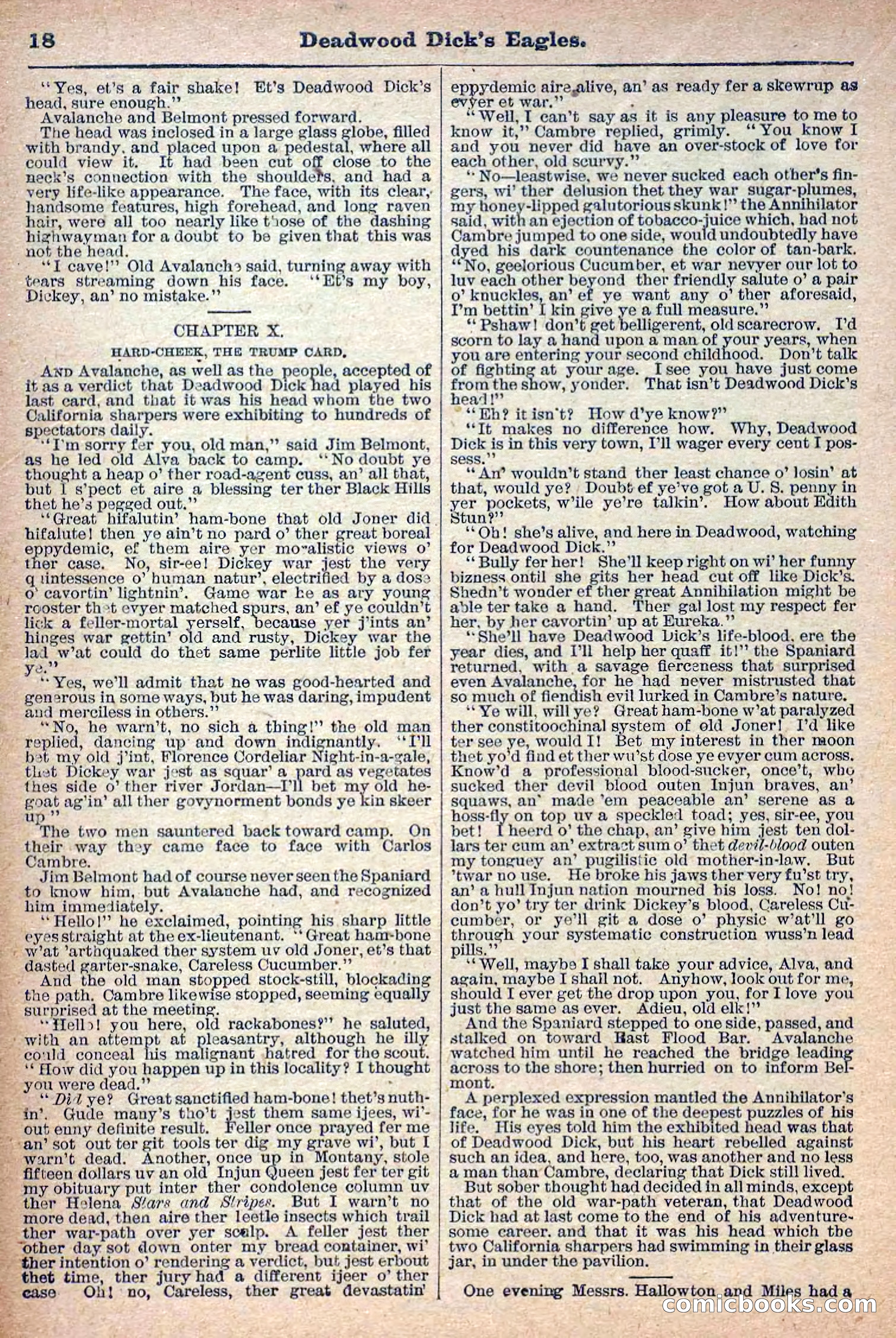 Deadwood Dick Library, Vol. 1, No. 12 — page 20 of 38