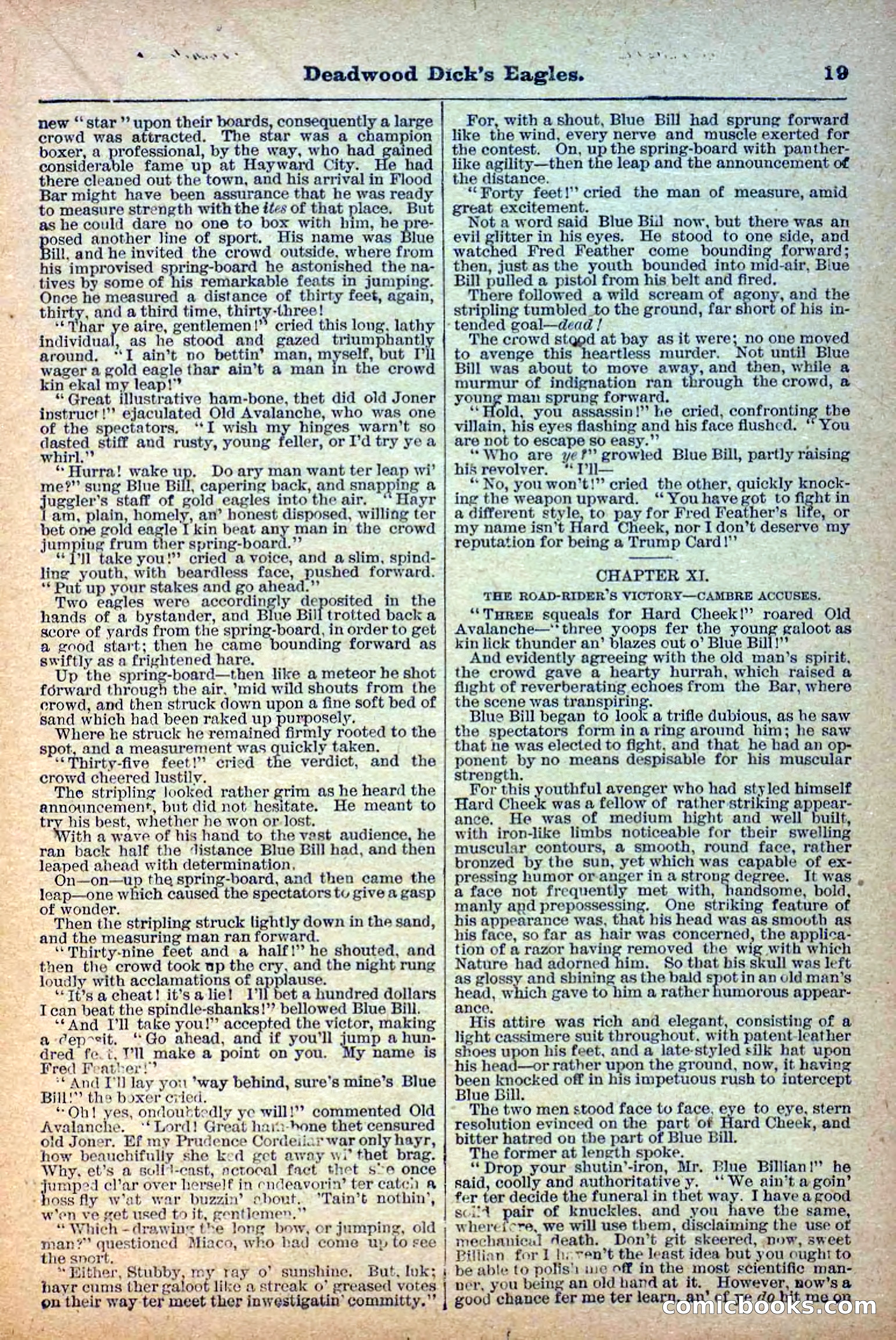 Deadwood Dick Library, Vol. 1, No. 12 — page 21 of 38
