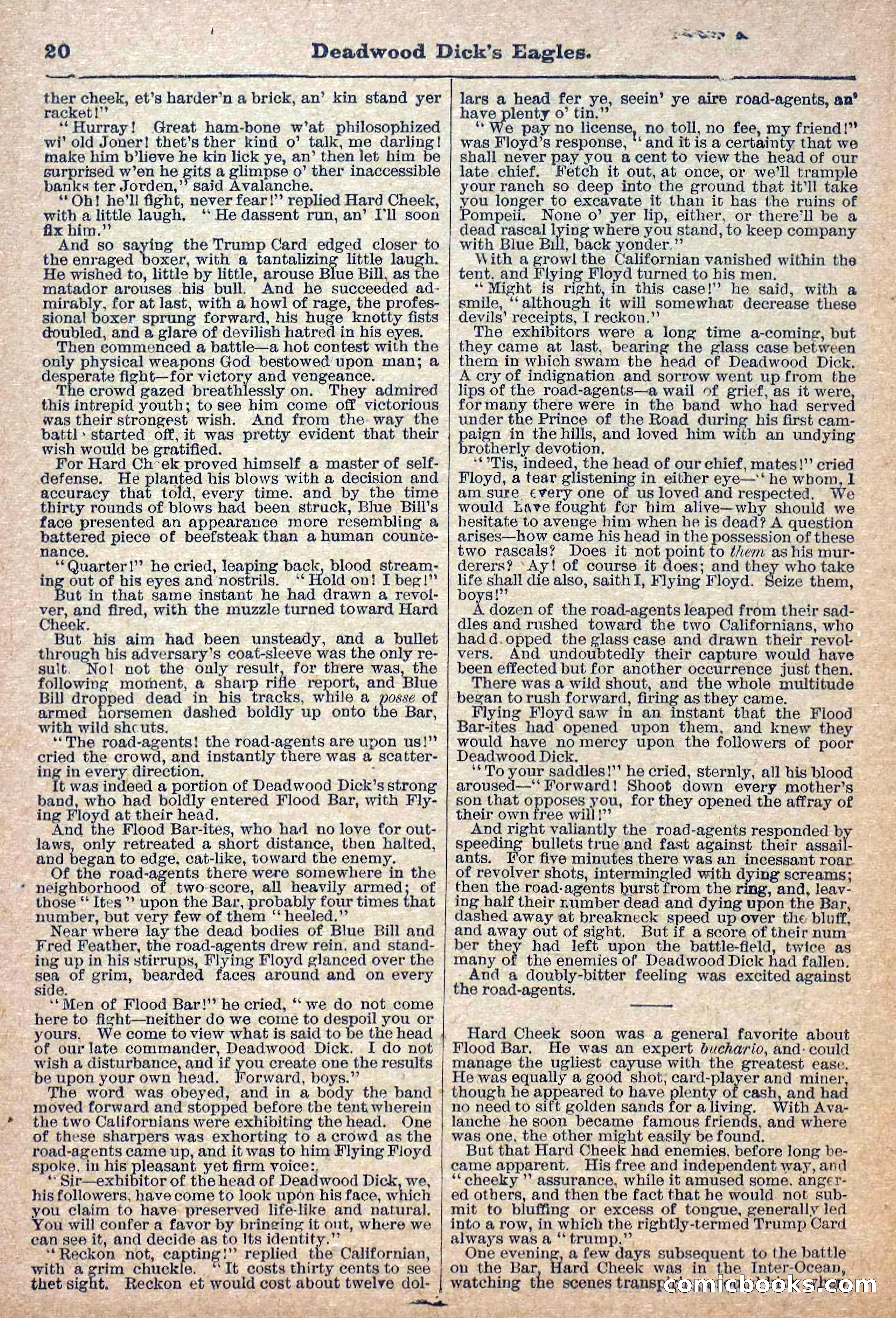 Deadwood Dick Library, Vol. 1, No. 12 — page 22 of 38