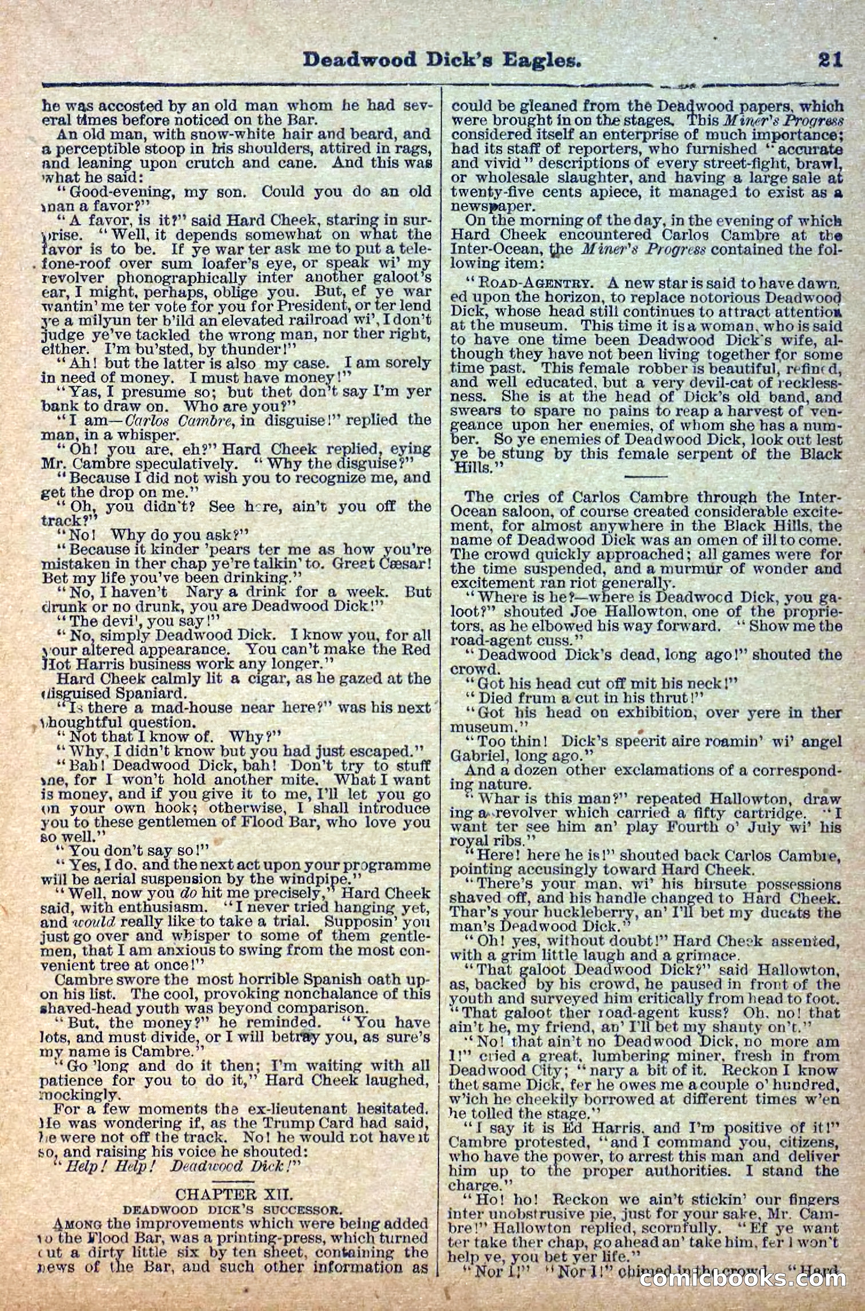 Deadwood Dick Library, Vol. 1, No. 12 — page 23 of 38