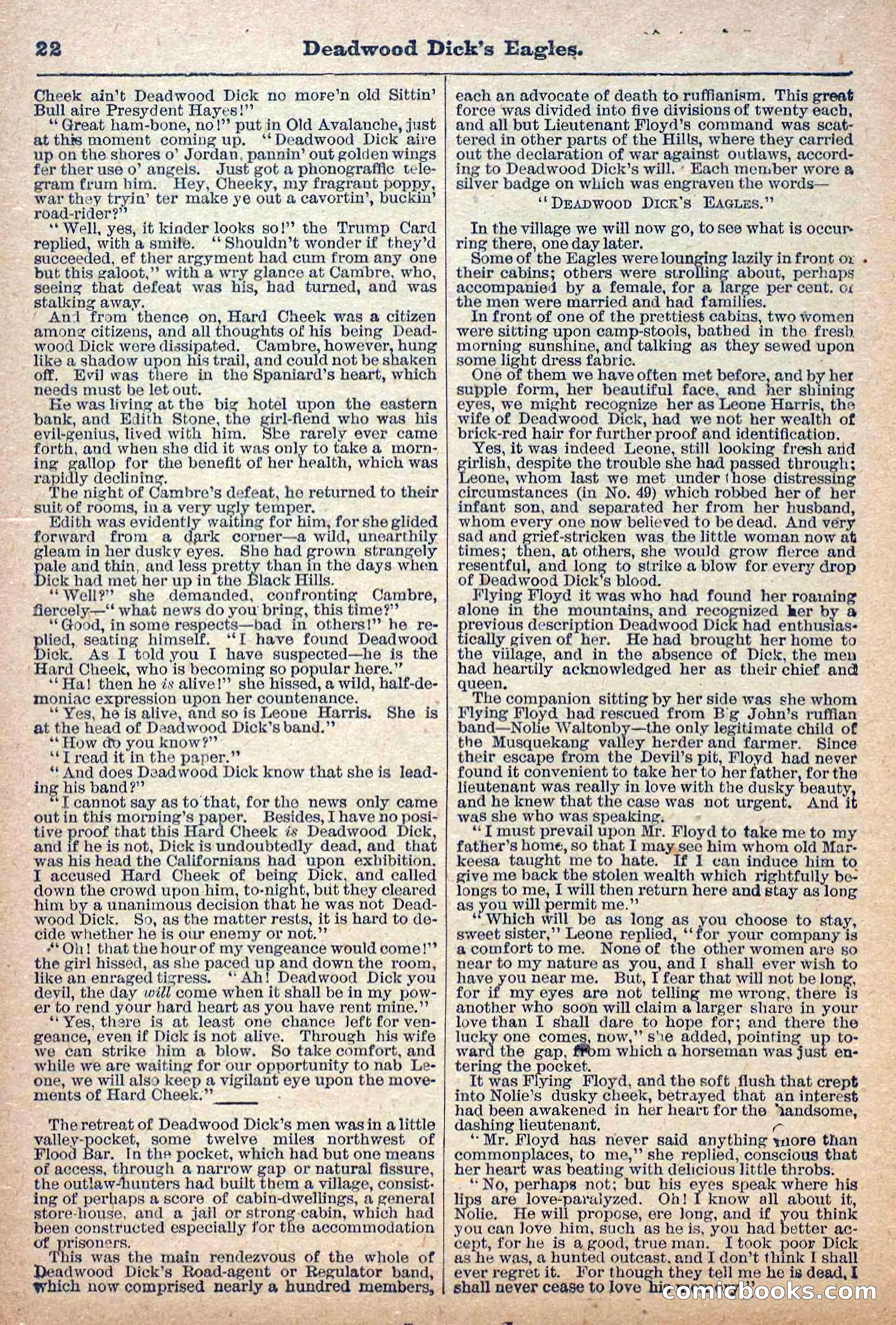 Deadwood Dick Library, Vol. 1, No. 12 — page 24 of 38