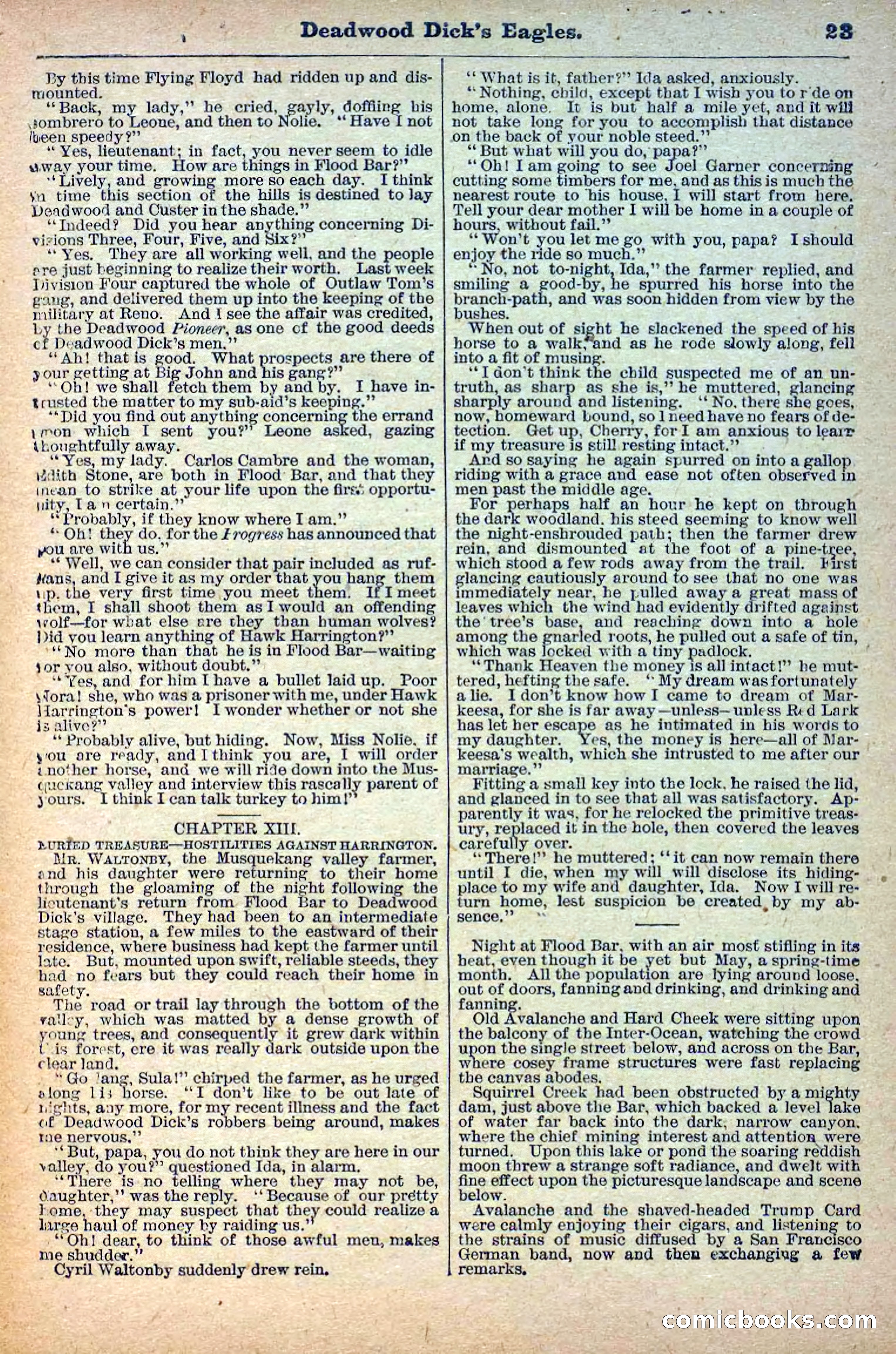Deadwood Dick Library, Vol. 1, No. 12 — page 25 of 38