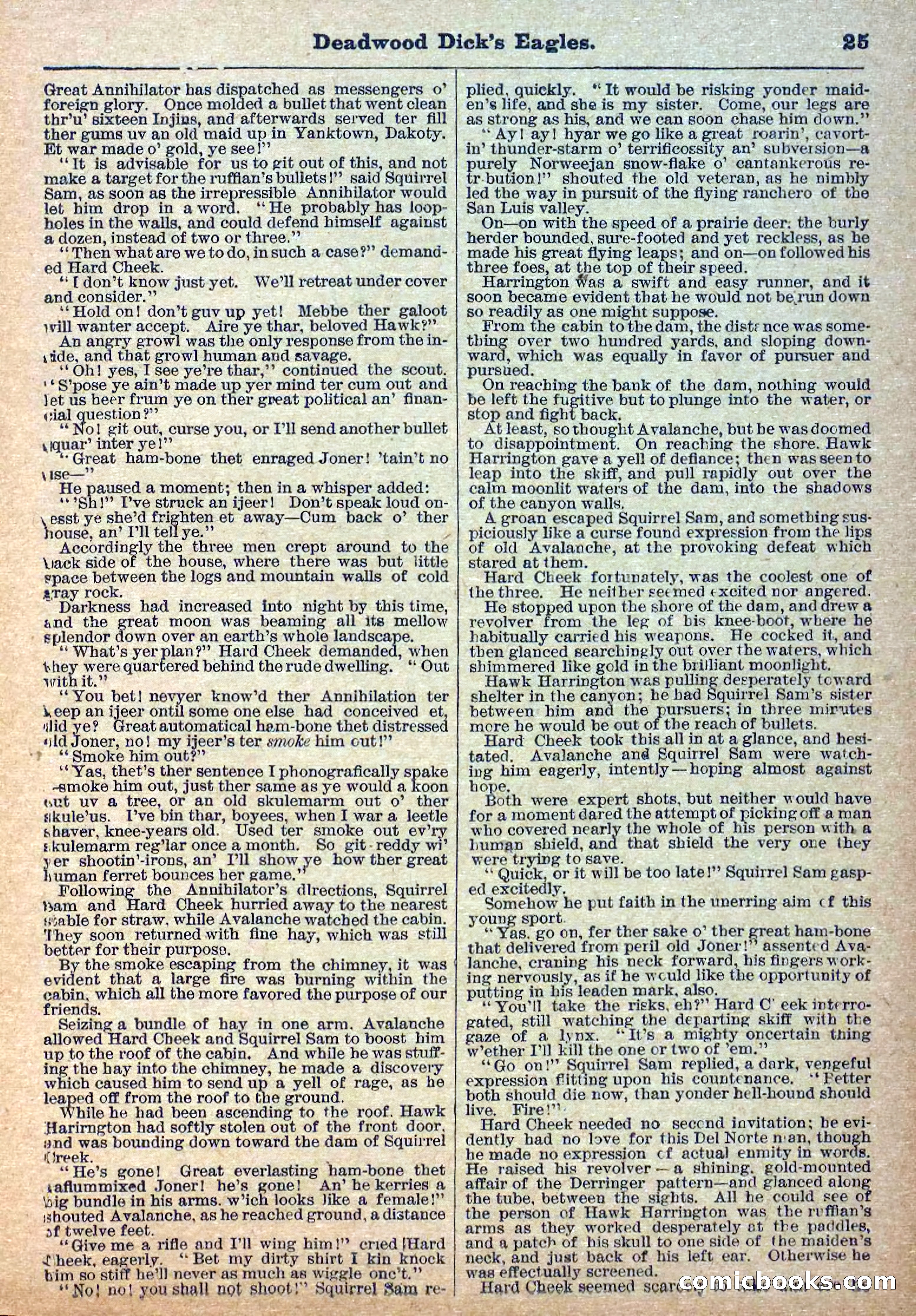 Deadwood Dick Library, Vol. 1, No. 12 — page 27 of 38