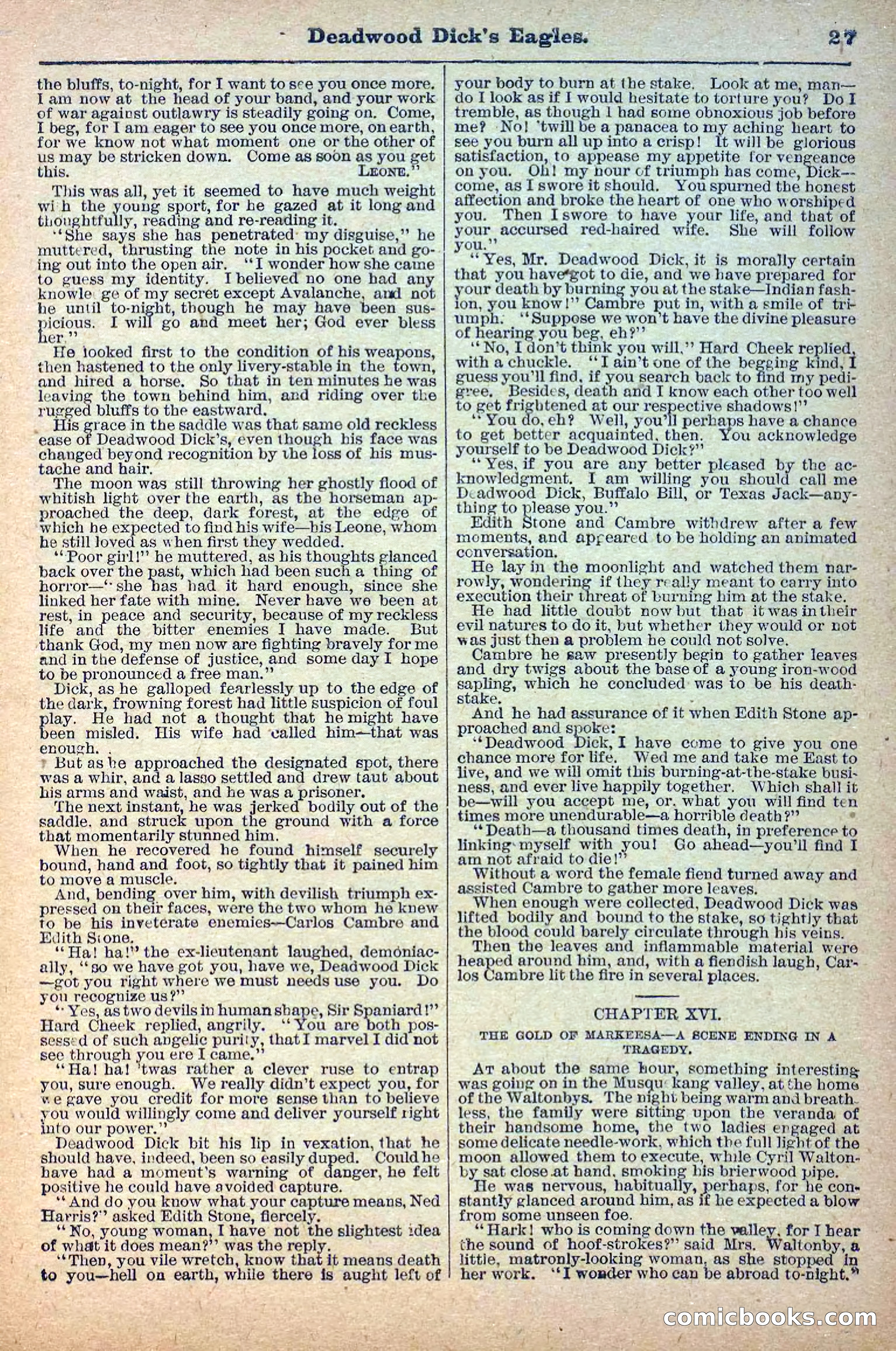 Deadwood Dick Library, Vol. 1, No. 12 — page 29 of 38