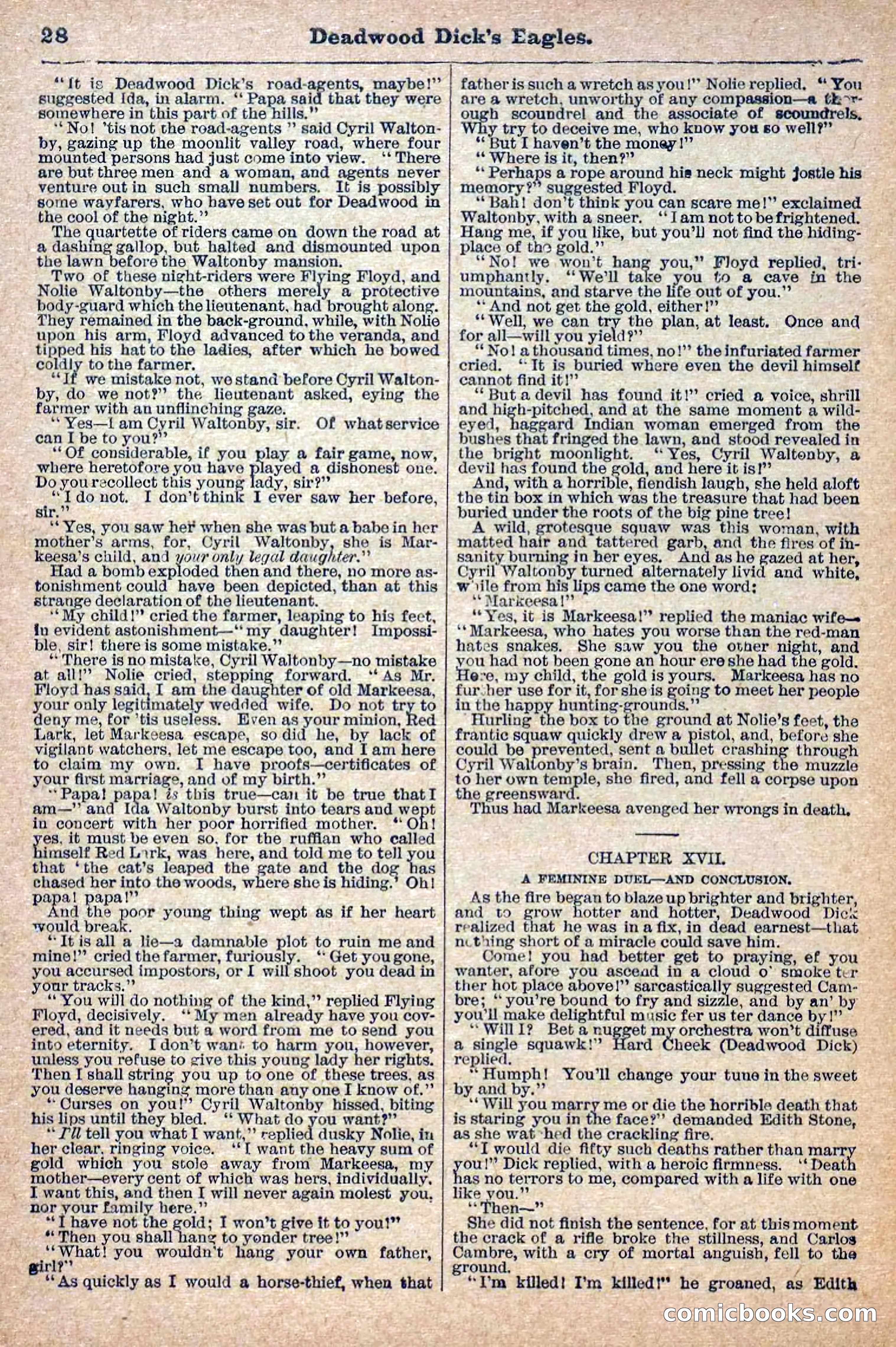 Deadwood Dick Library, Vol. 1, No. 12 — page 30 of 38