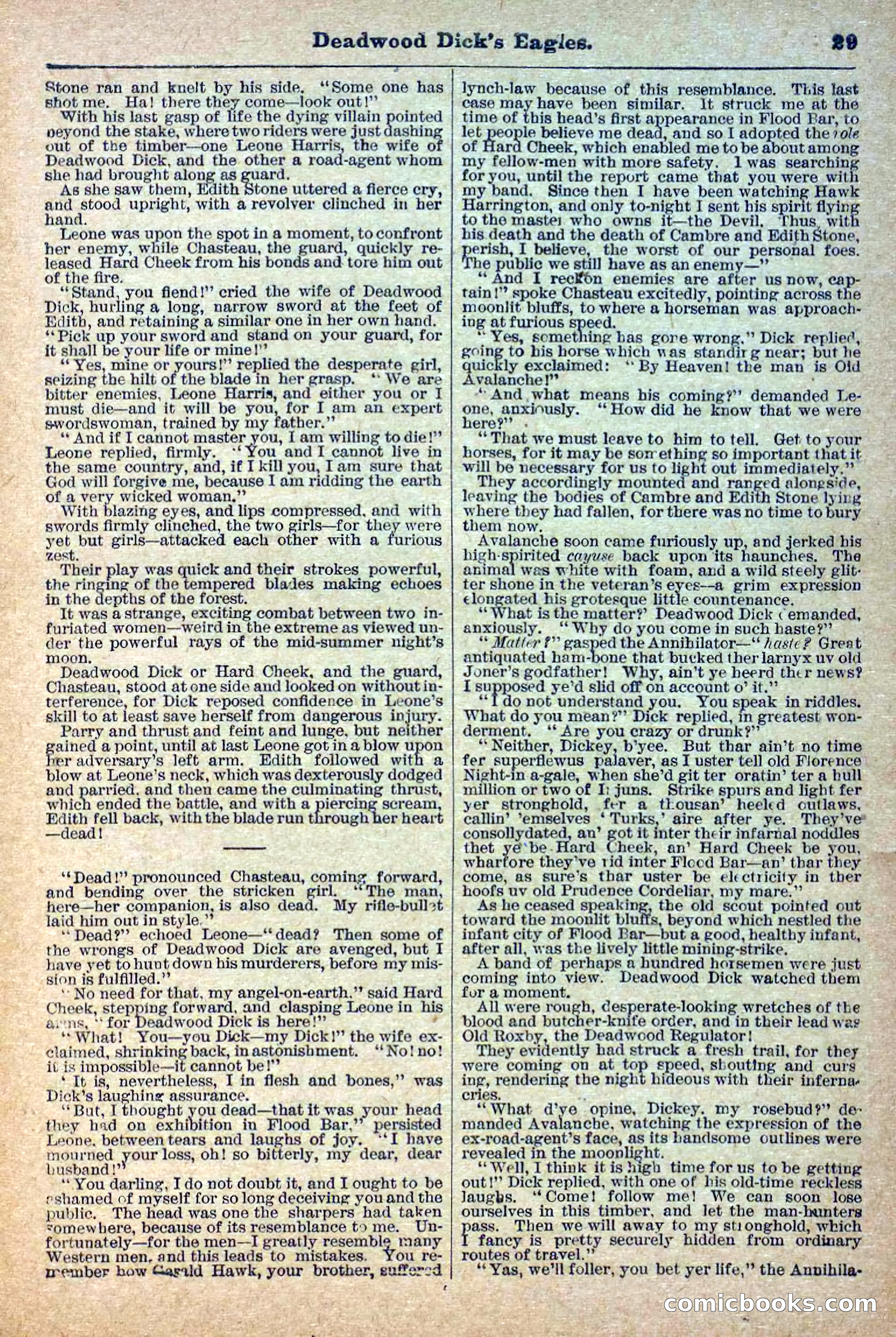 Deadwood Dick Library, Vol. 1, No. 12 — page 31 of 38