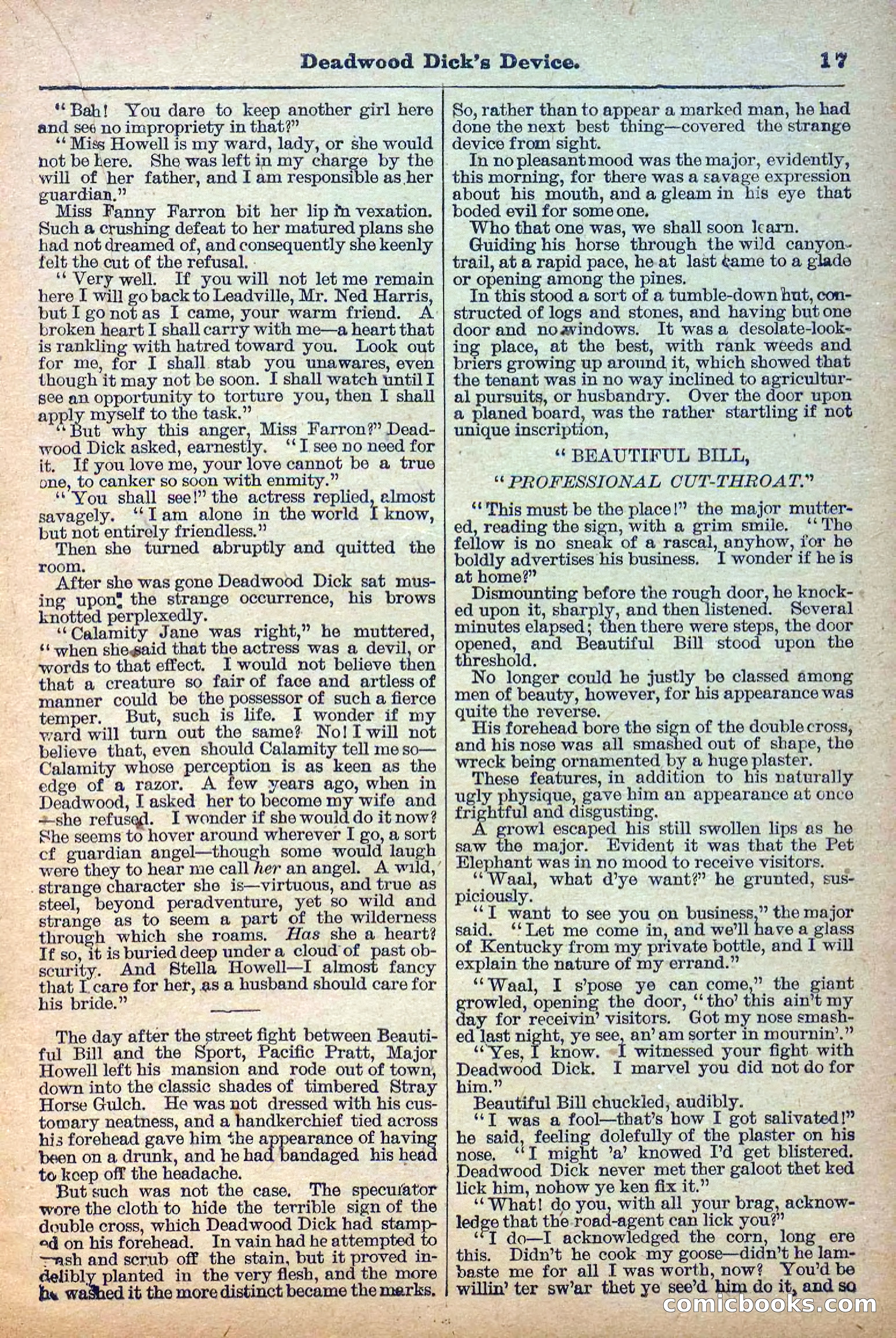 The Deadwood Dick Library, No. 21 — page 19 of 40