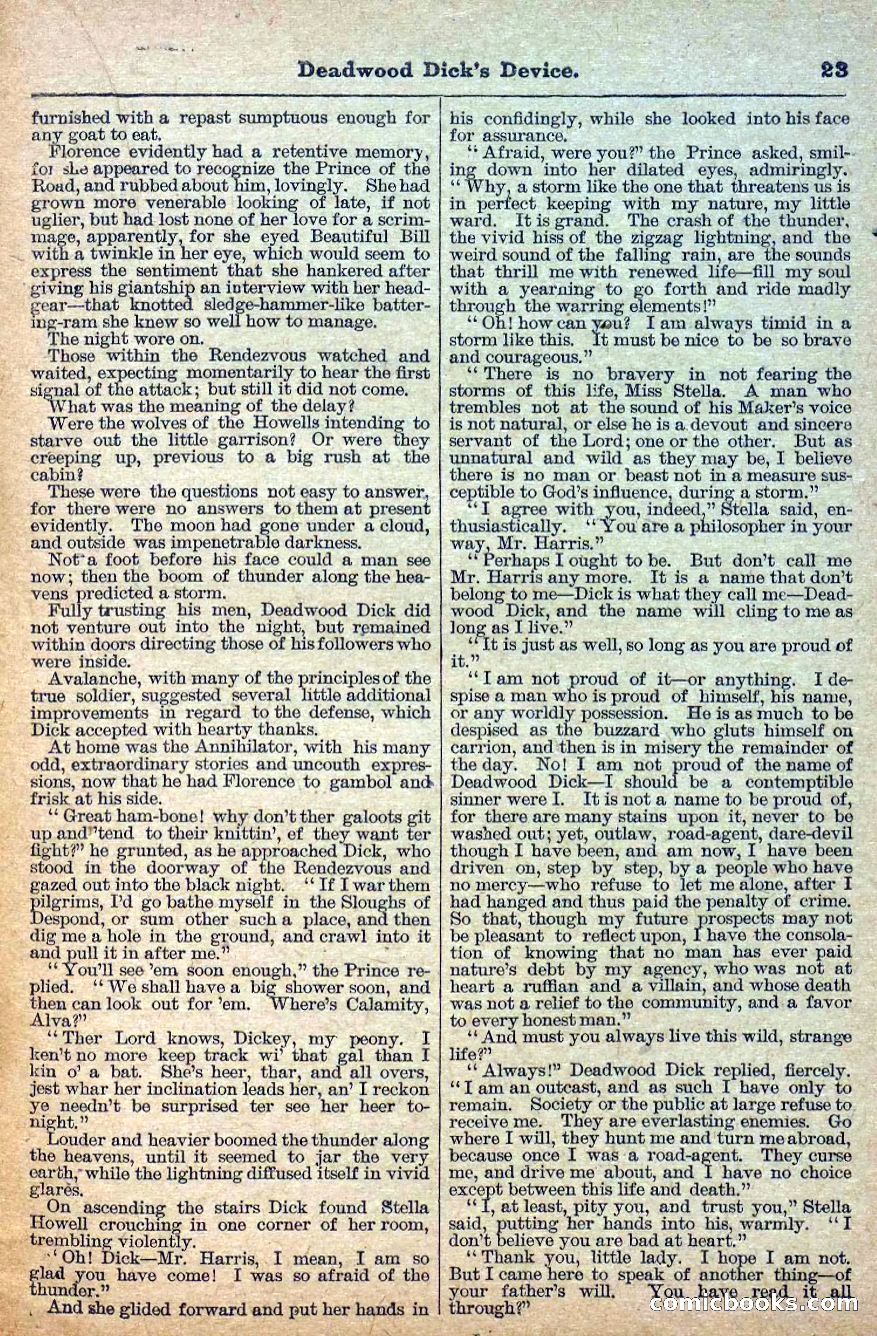The Deadwood Dick Library, No. 21 — page 25 of 40