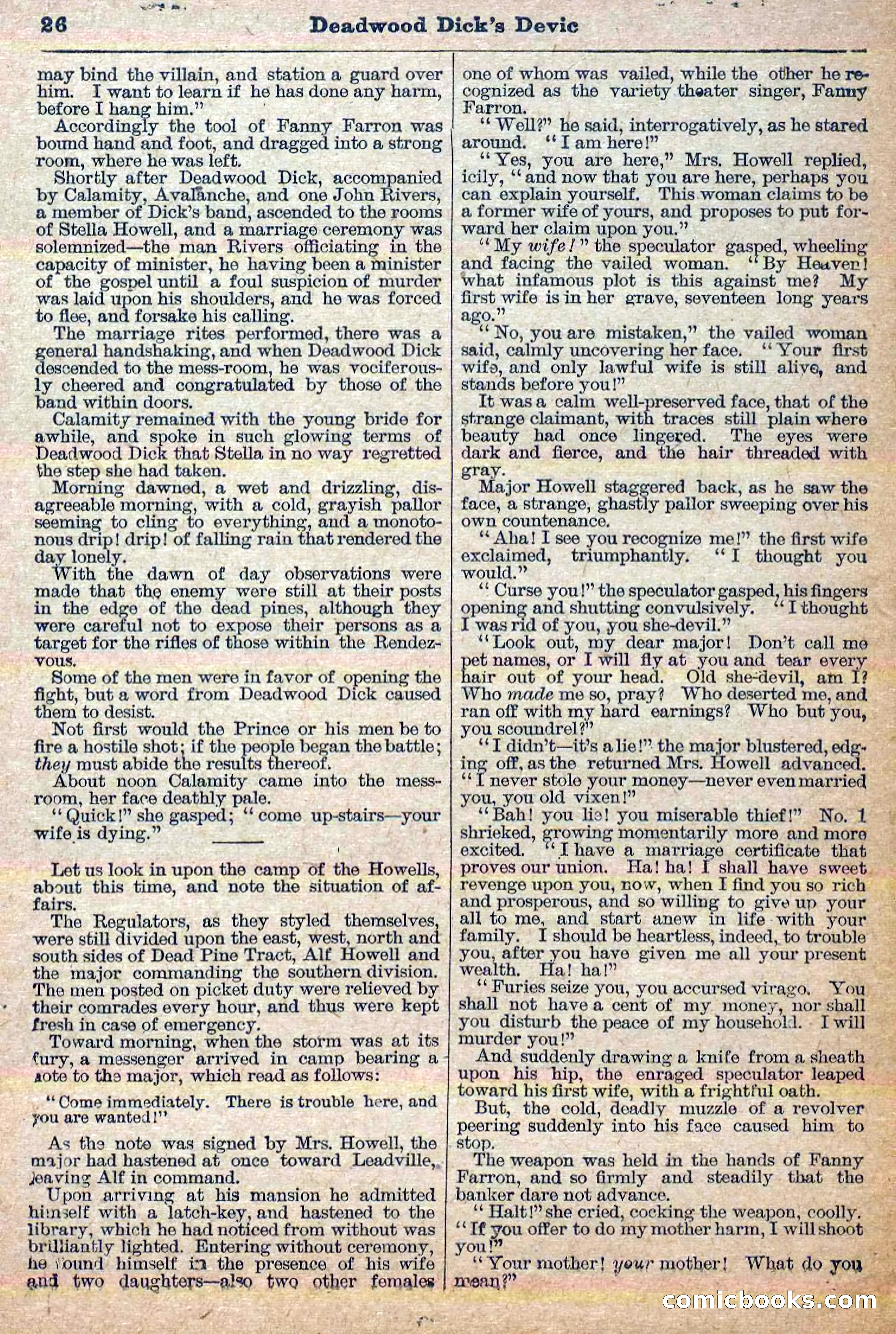 The Deadwood Dick Library, No. 21 — page 28 of 40