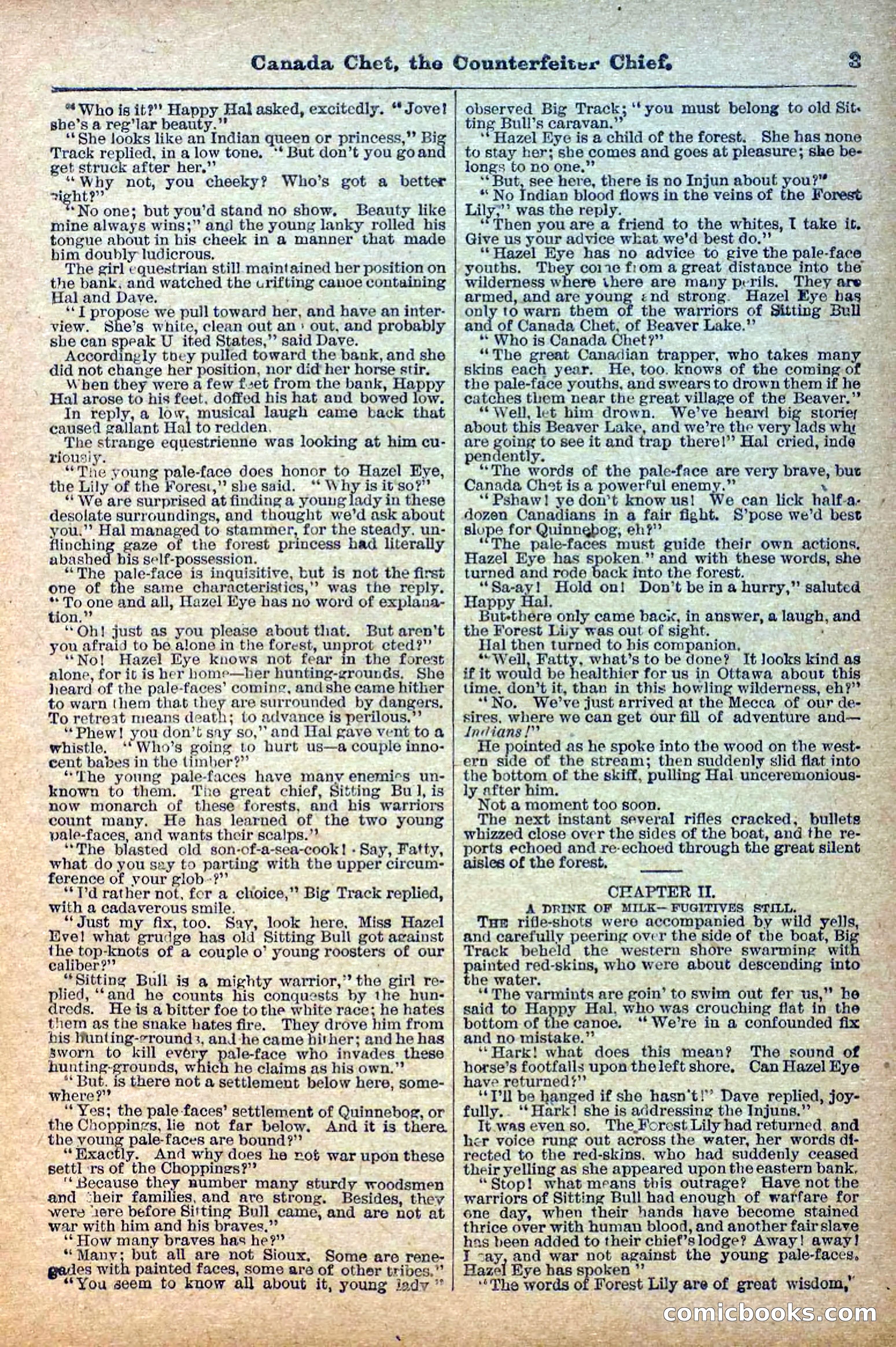 The Deadwood Dick Library, No. 22 — page 5 of 40