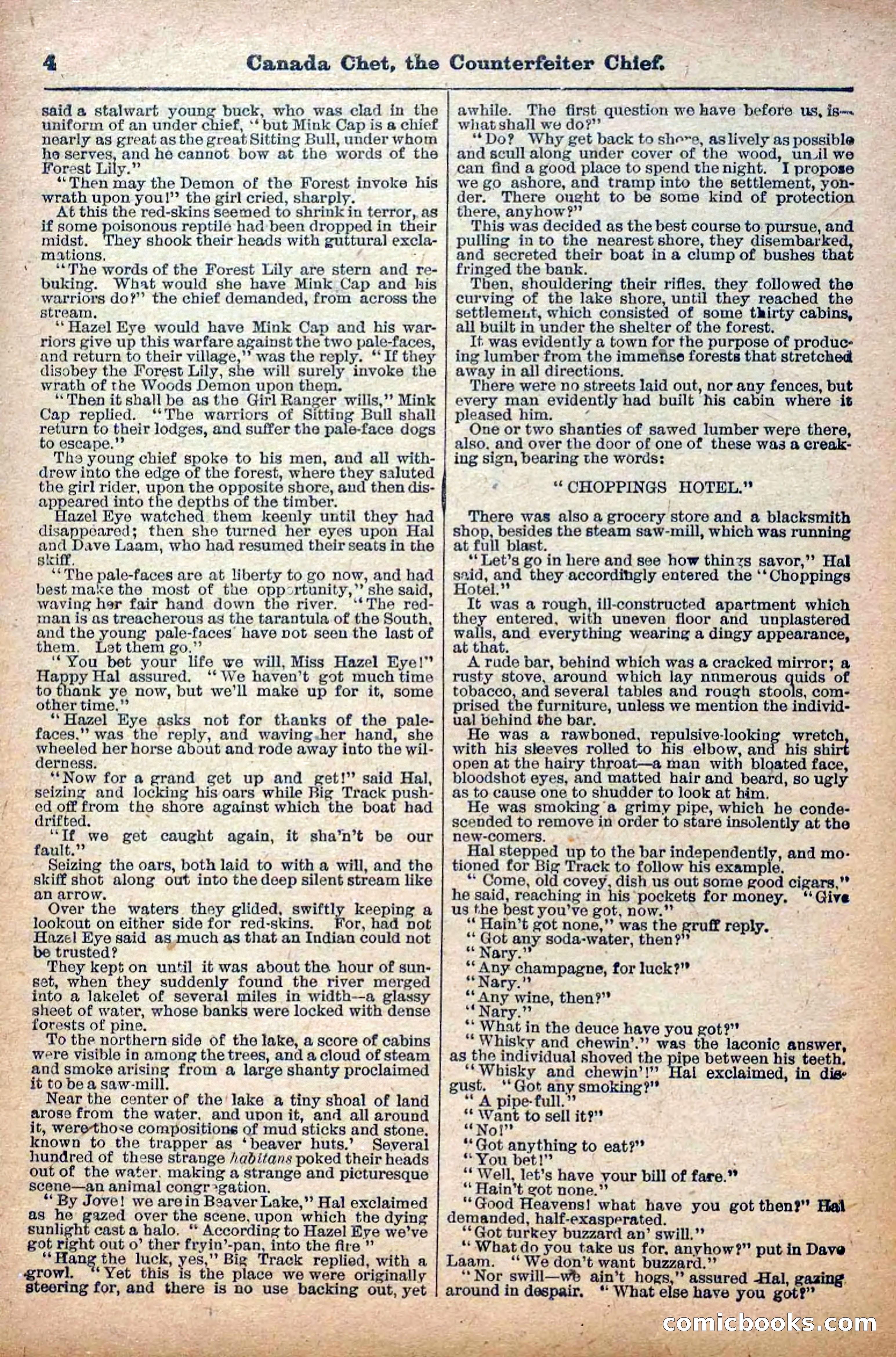The Deadwood Dick Library, No. 22 — page 6 of 40