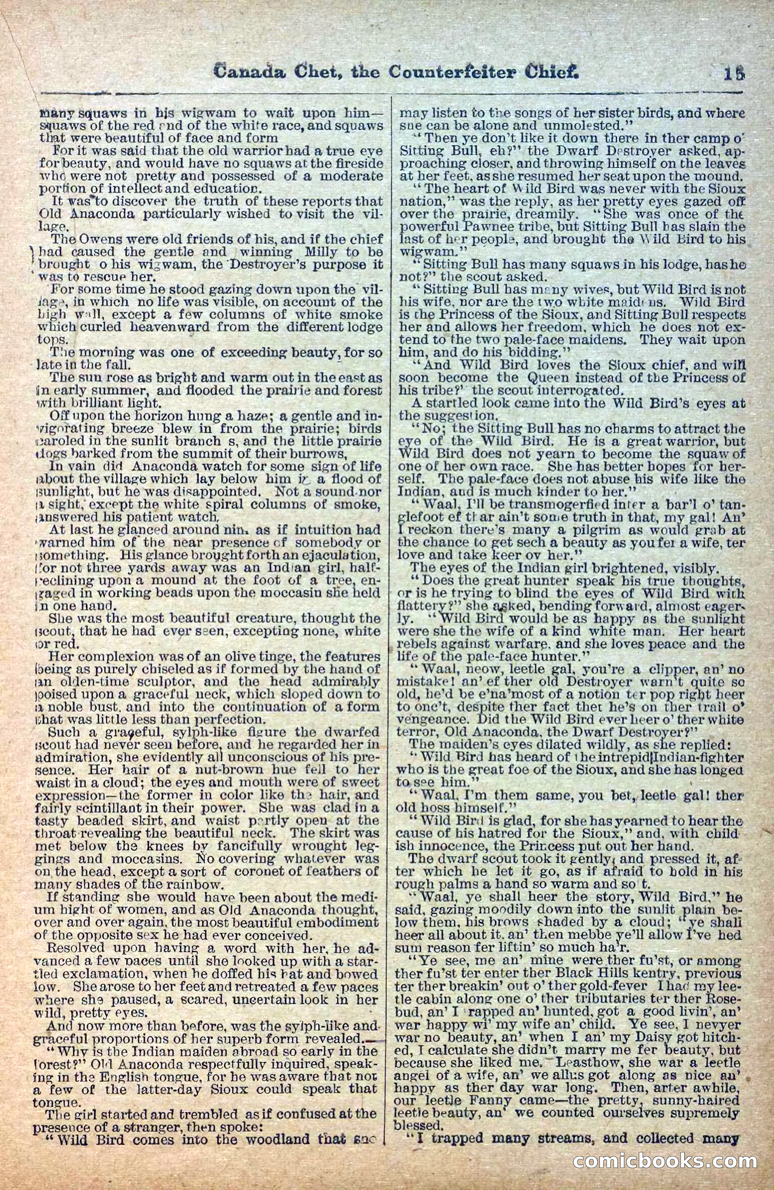 The Deadwood Dick Library, No. 22 — page 17 of 40