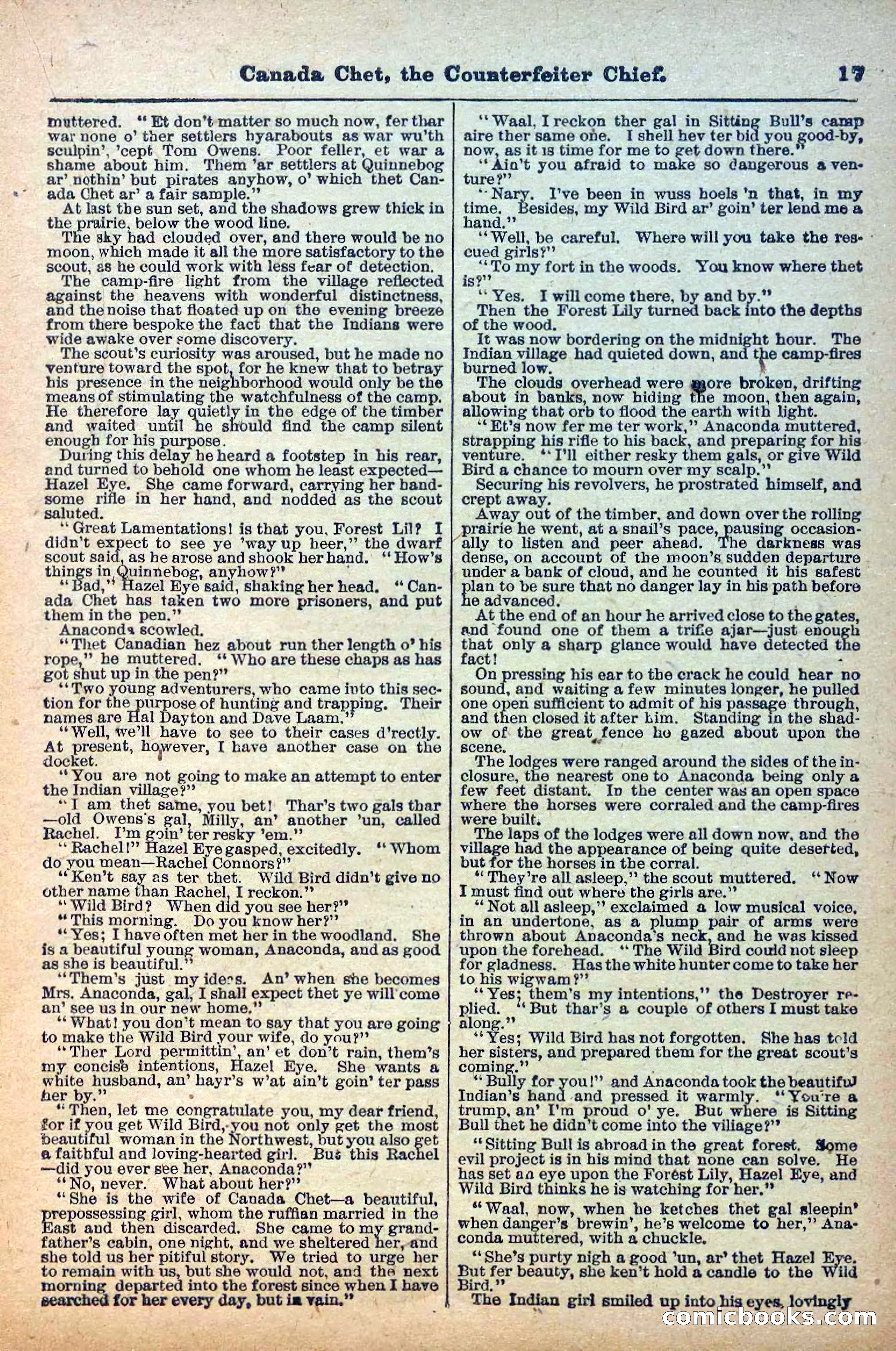 The Deadwood Dick Library, No. 22 — page 19 of 40