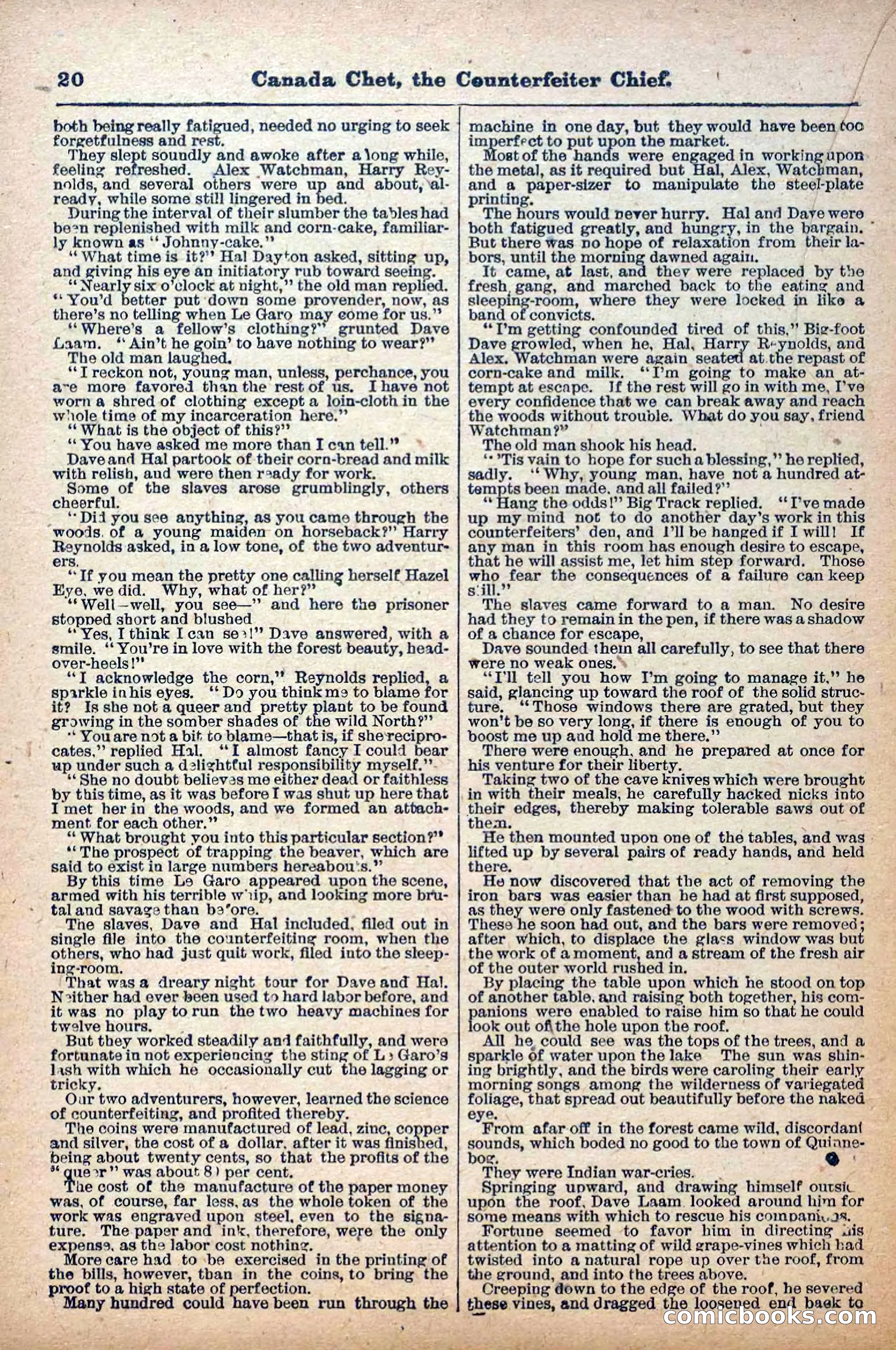 The Deadwood Dick Library, No. 22 — page 22 of 40