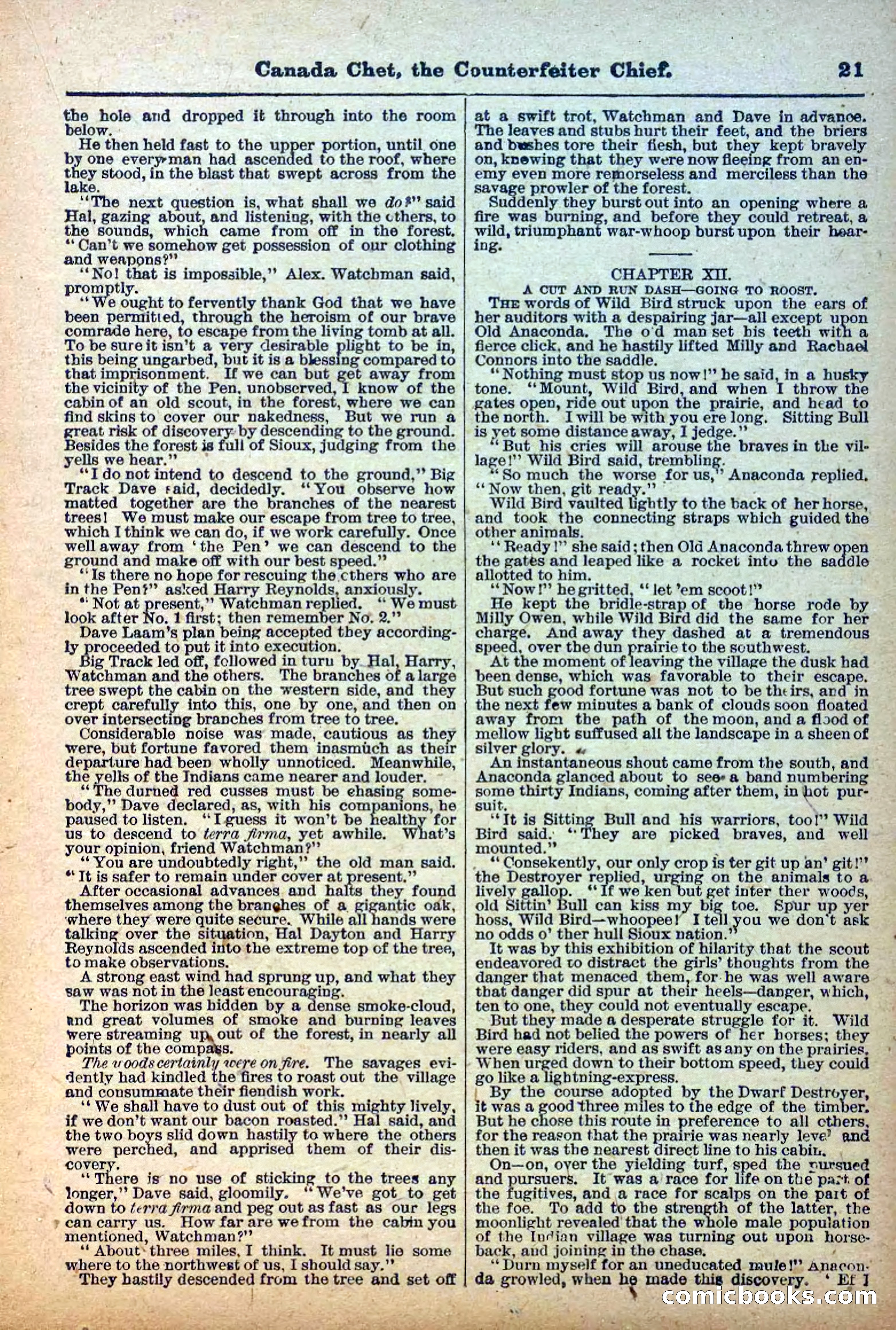 The Deadwood Dick Library, No. 22 — page 23 of 40