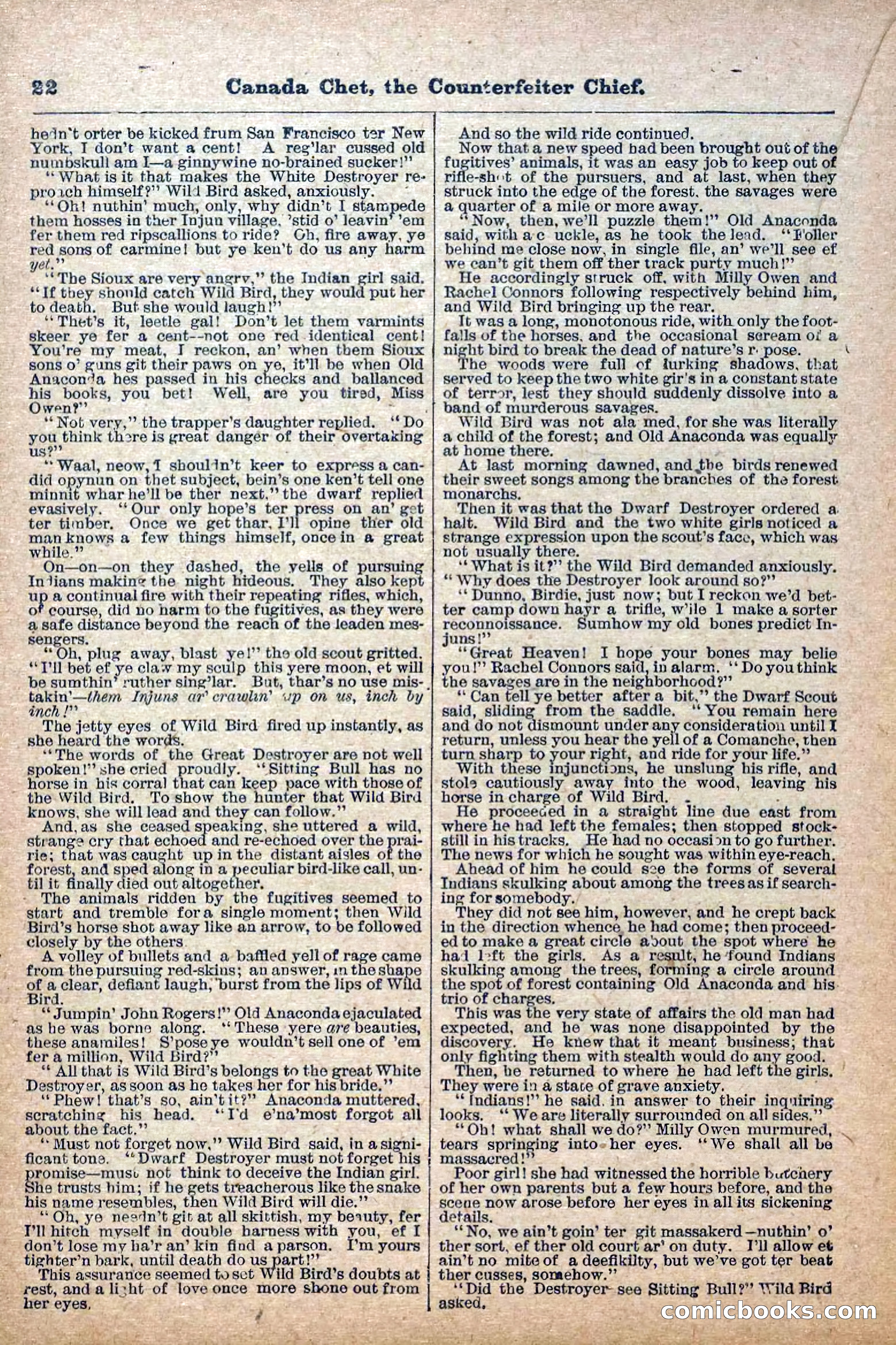 The Deadwood Dick Library, No. 22 — page 24 of 40