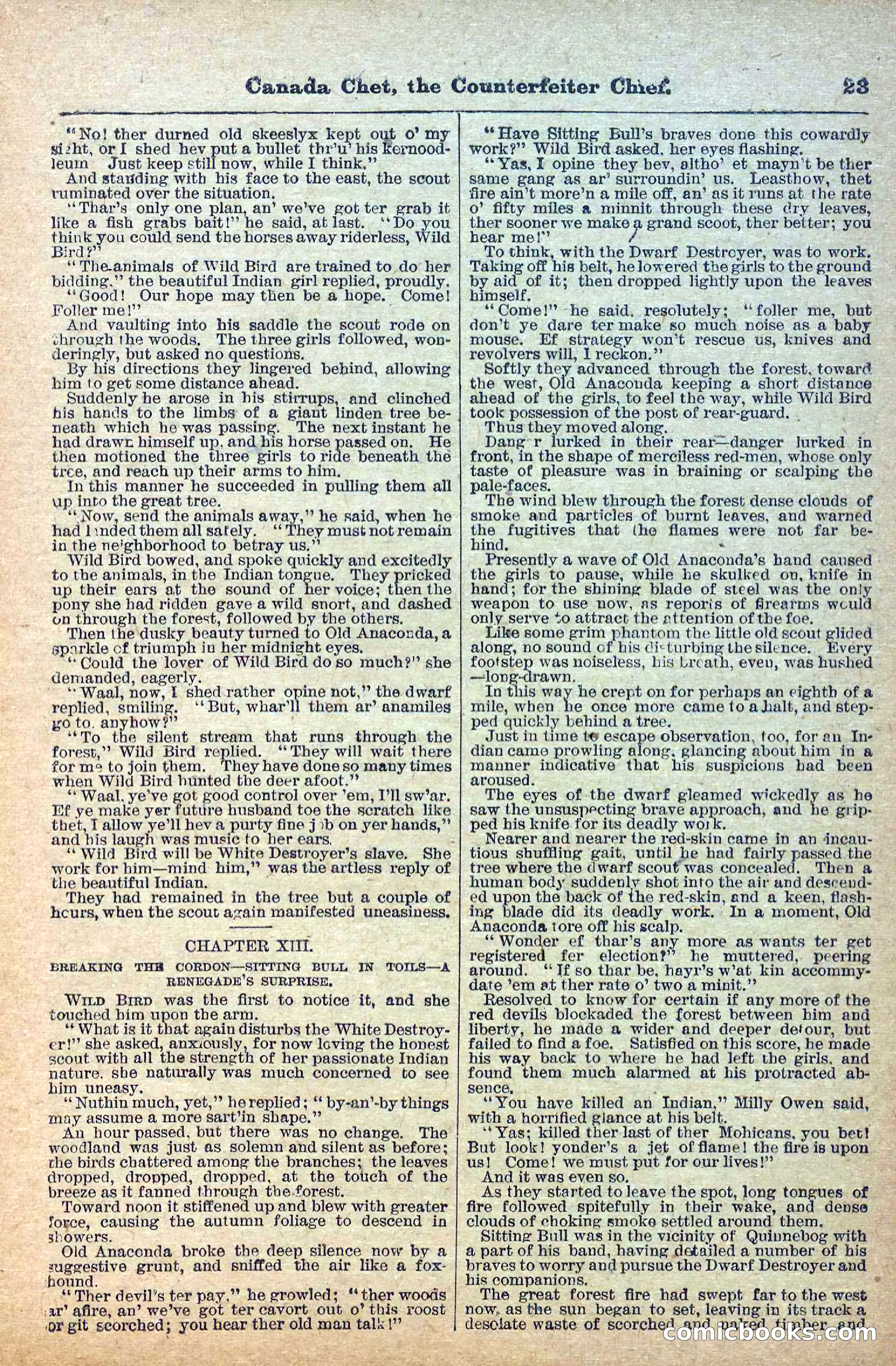 The Deadwood Dick Library, No. 22 — page 25 of 40