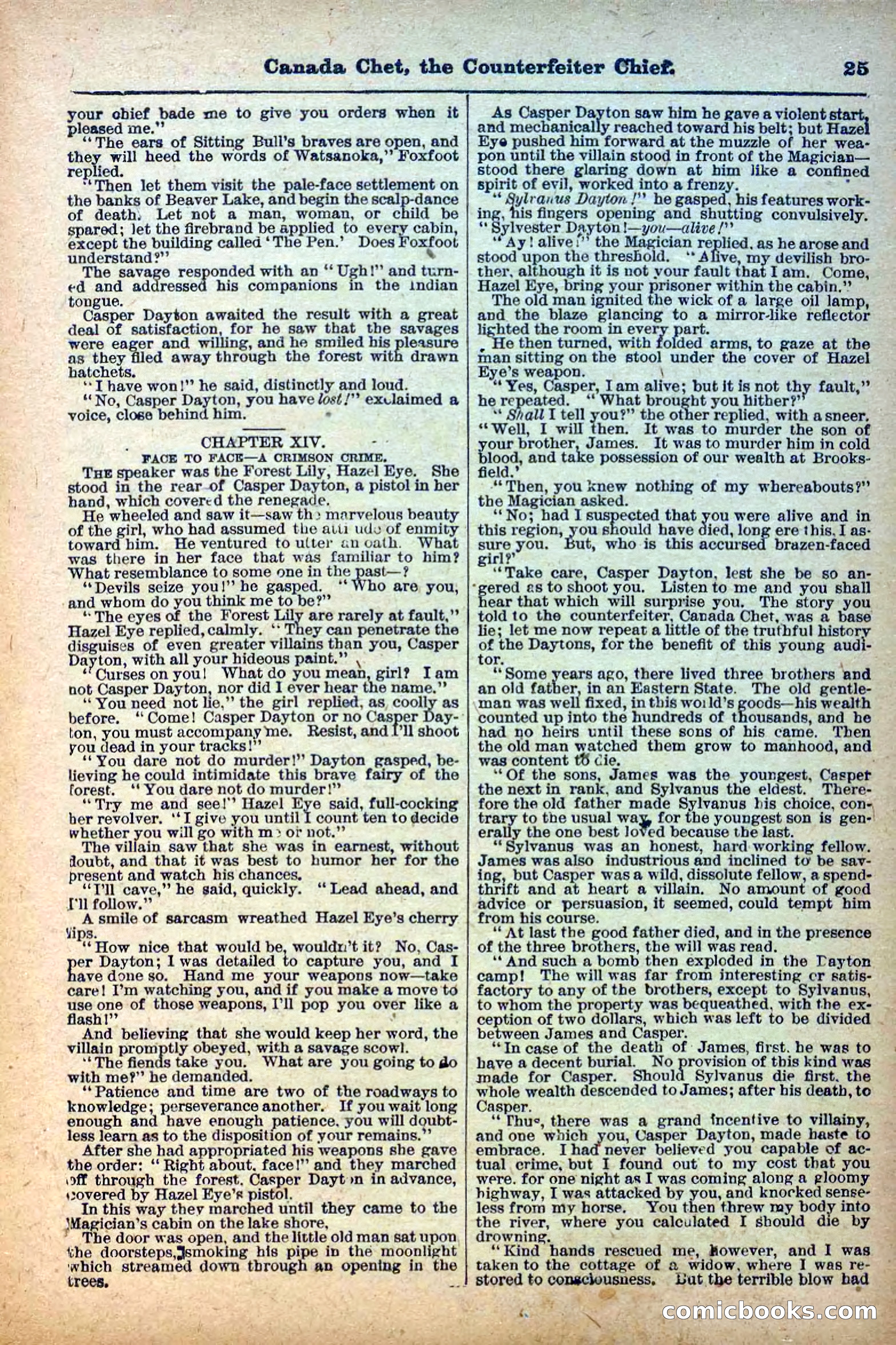 The Deadwood Dick Library, No. 22 — page 27 of 40